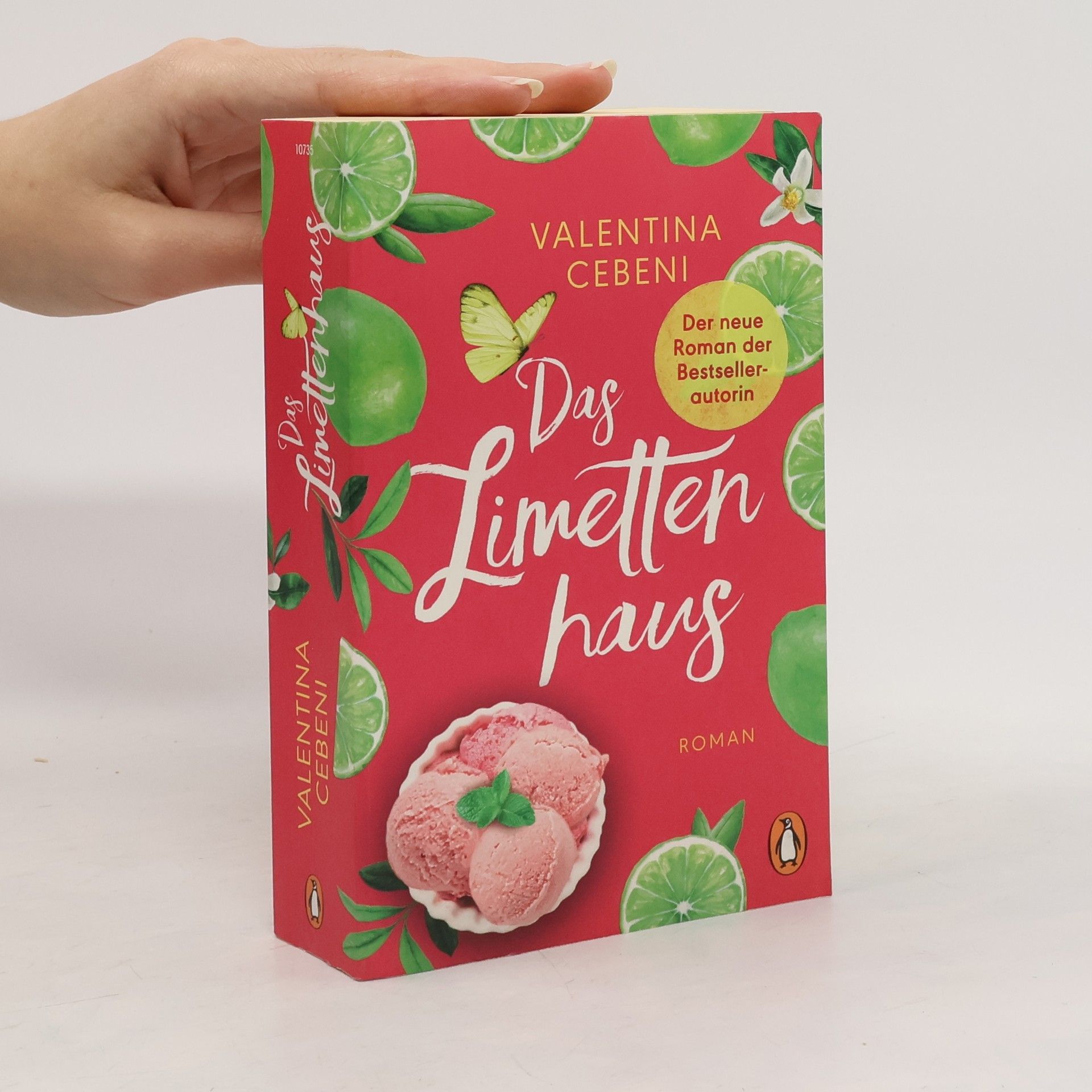 Valentina Cebeni Das Limettenhaus