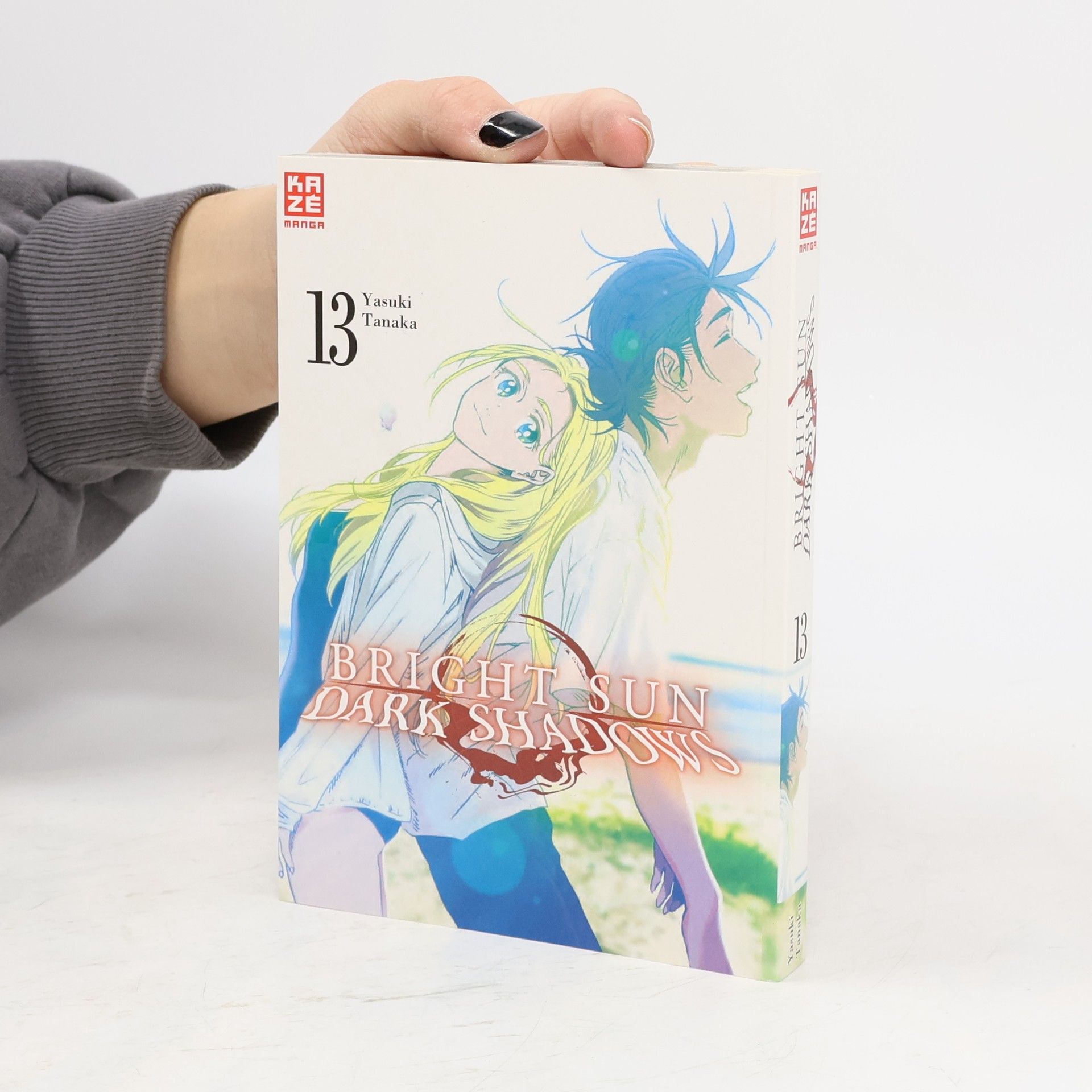 Bright Sun - Dark Shadows - Band 13 (Finale)