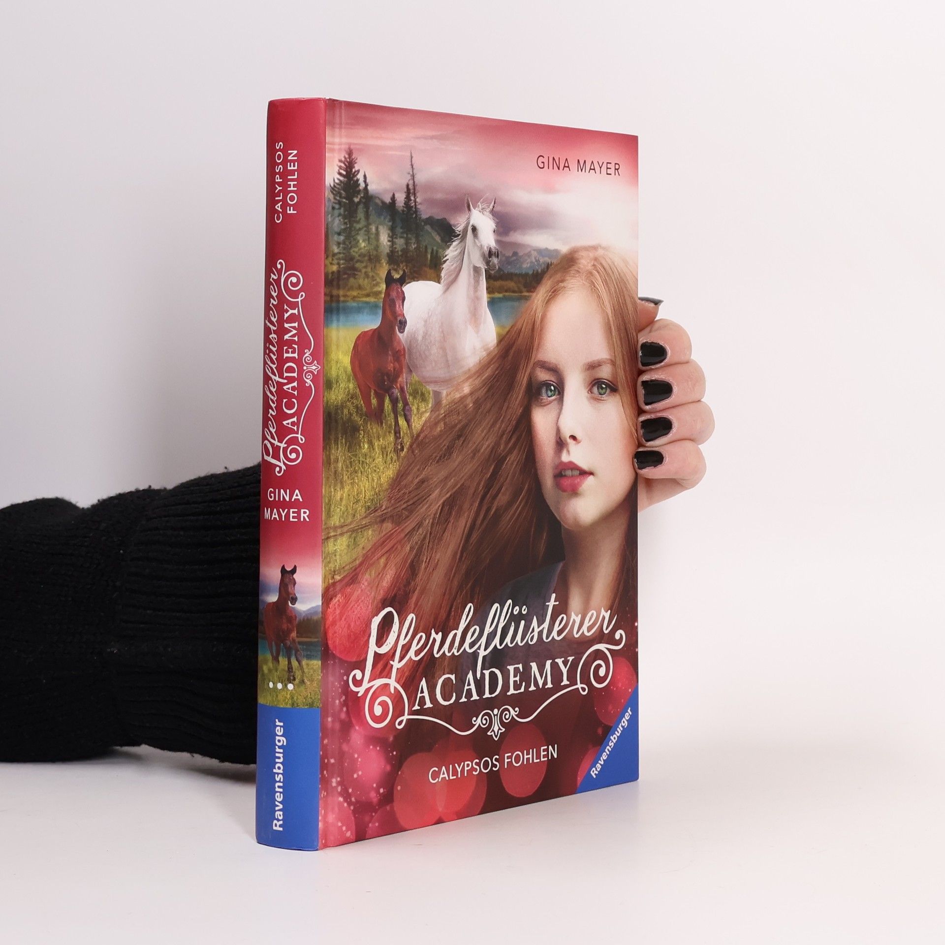 Gina Mayer Calypsos Fohlen / Pferdeflüsterer Academy Bd.6