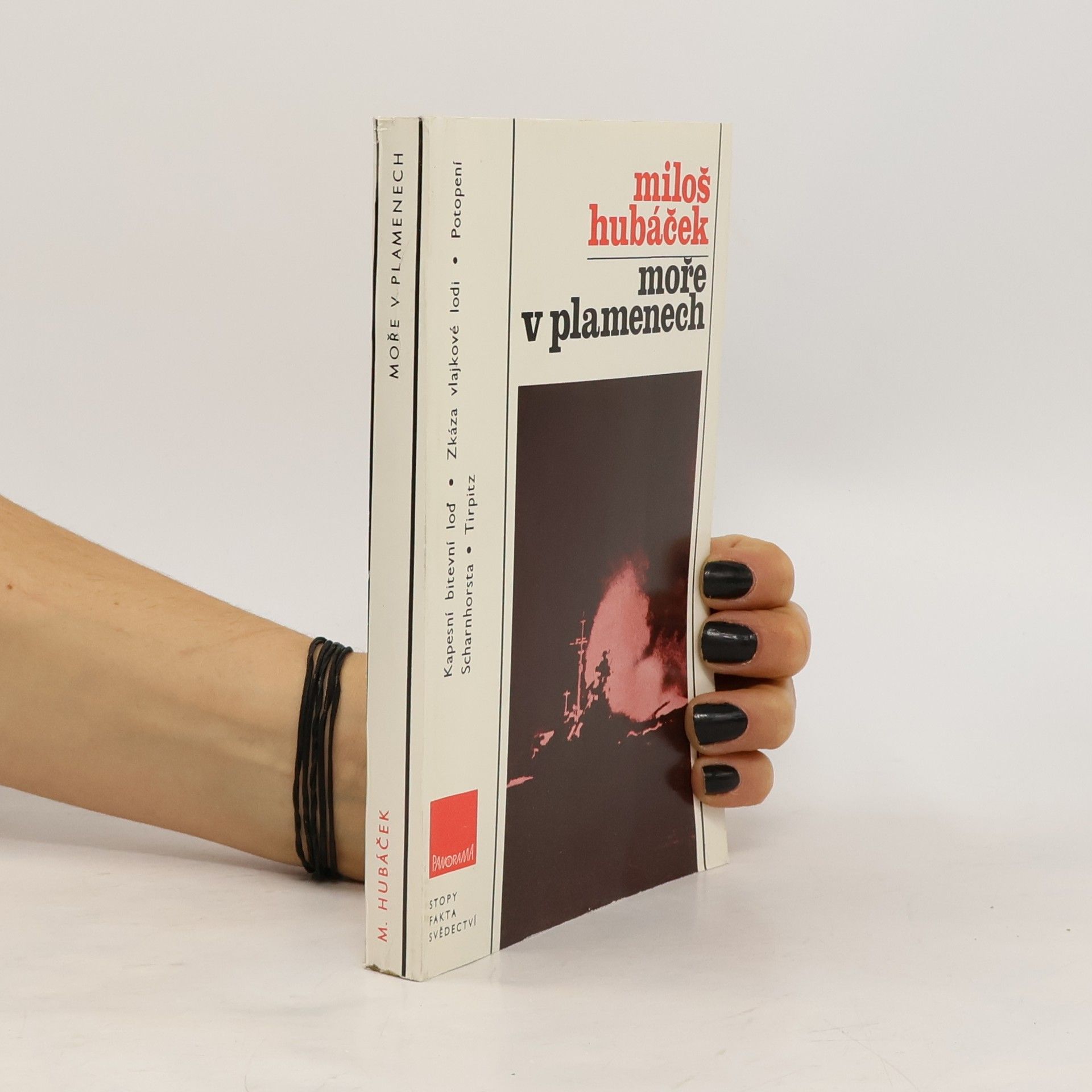 Miloš Hubáček Moře v plamenech