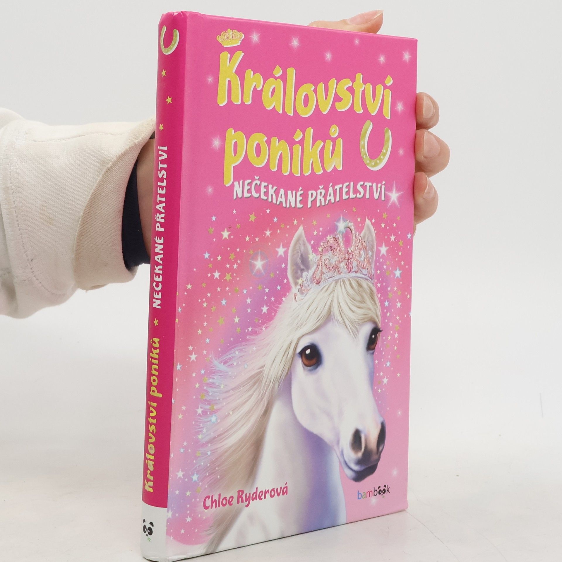 Chloe Ryder Nečekané přátelství