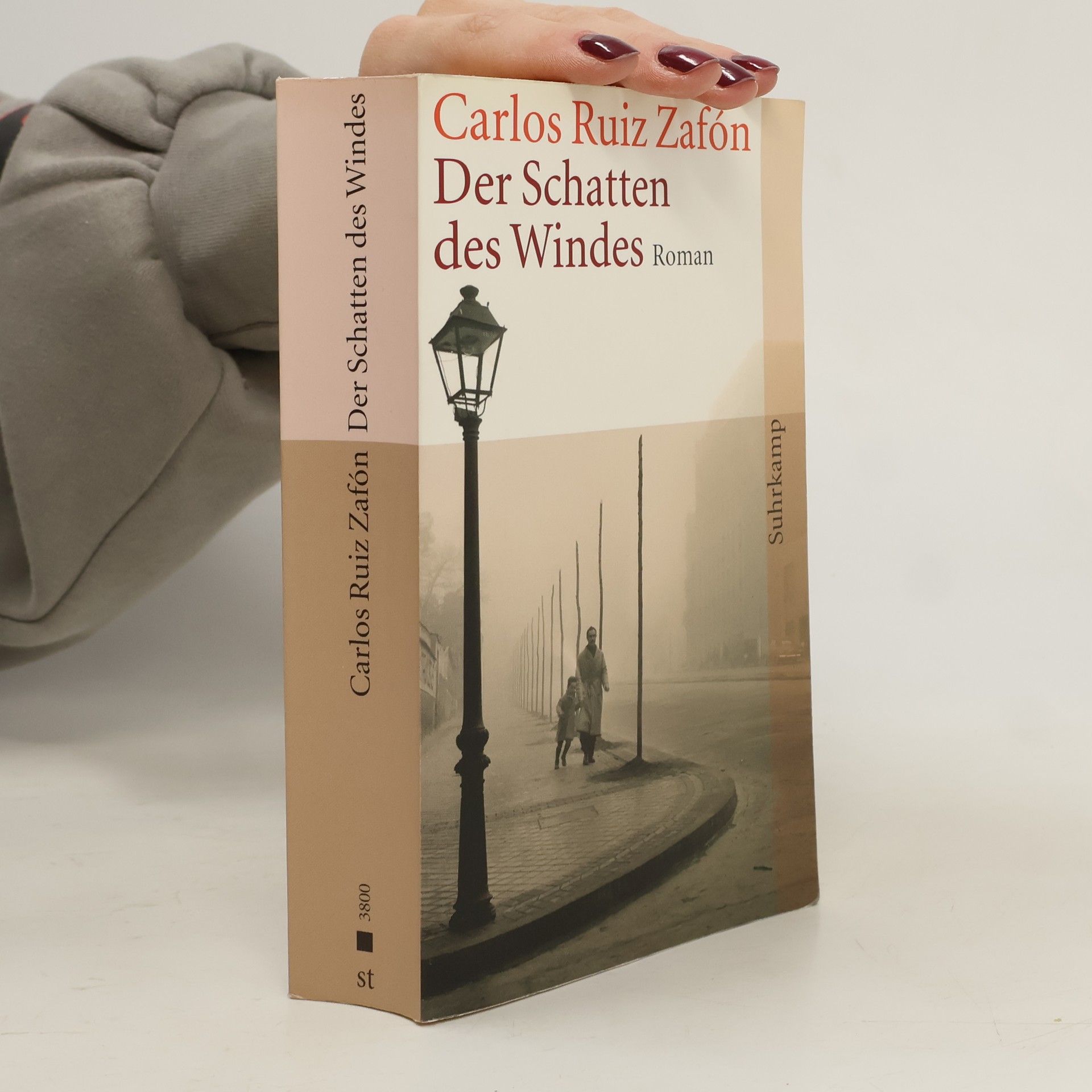 Carlos Ruiz Zafón Der Schatten des Windes