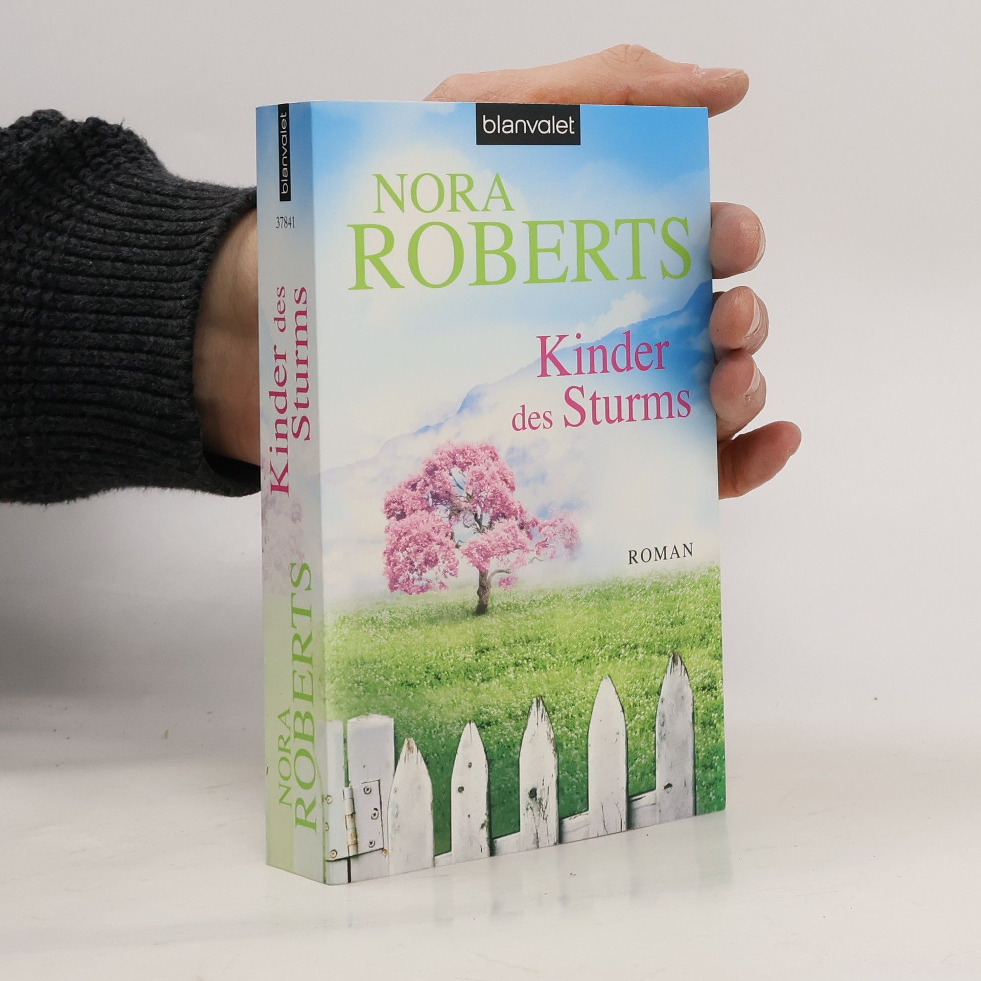 Nora Roberts Kinder des Sturms