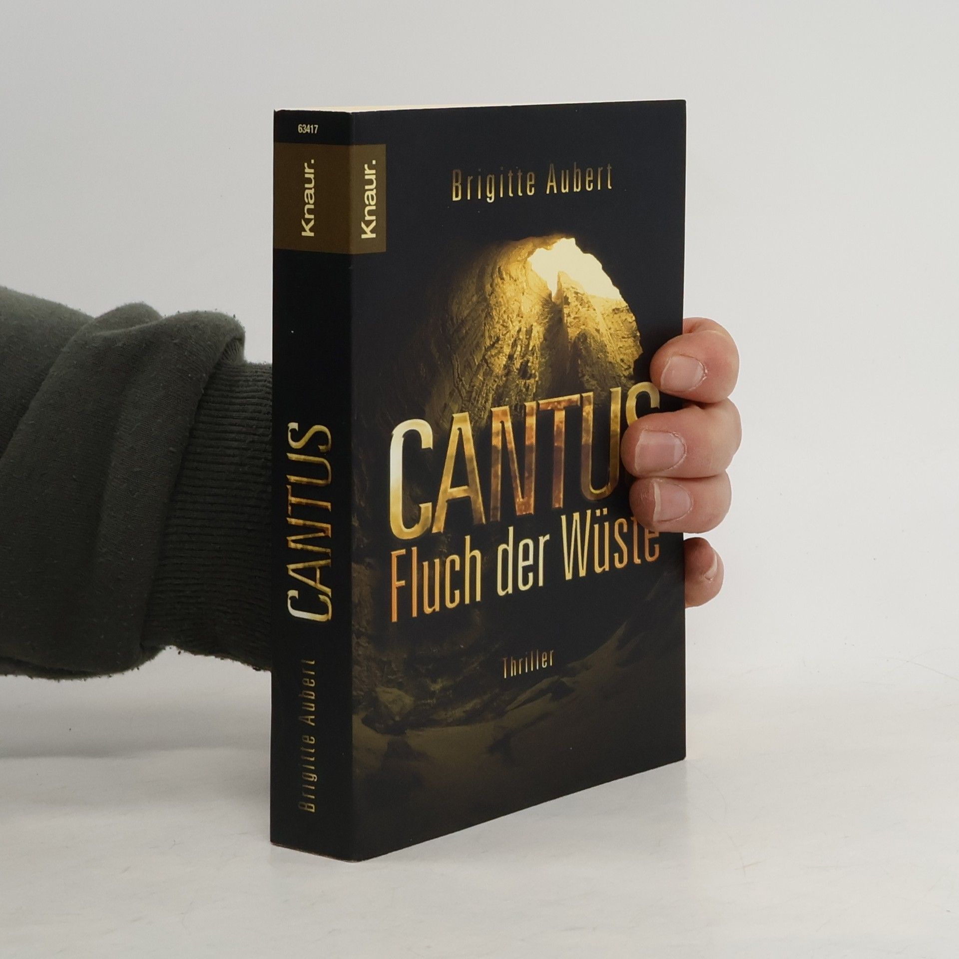 Brigitte Aubert Cantus. Fluch der Wüste