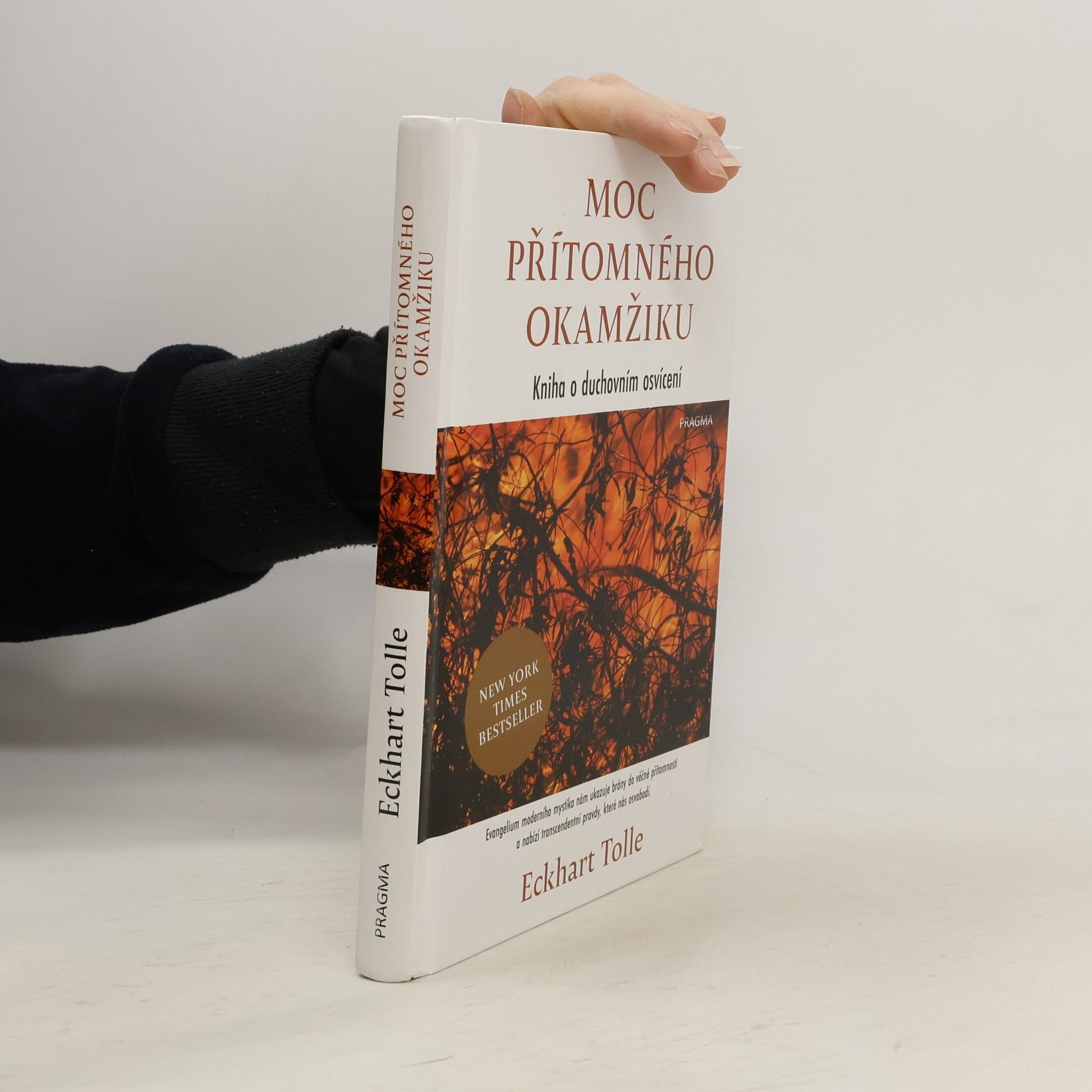 Eckhart Tolle Moc přítomného okamžiku