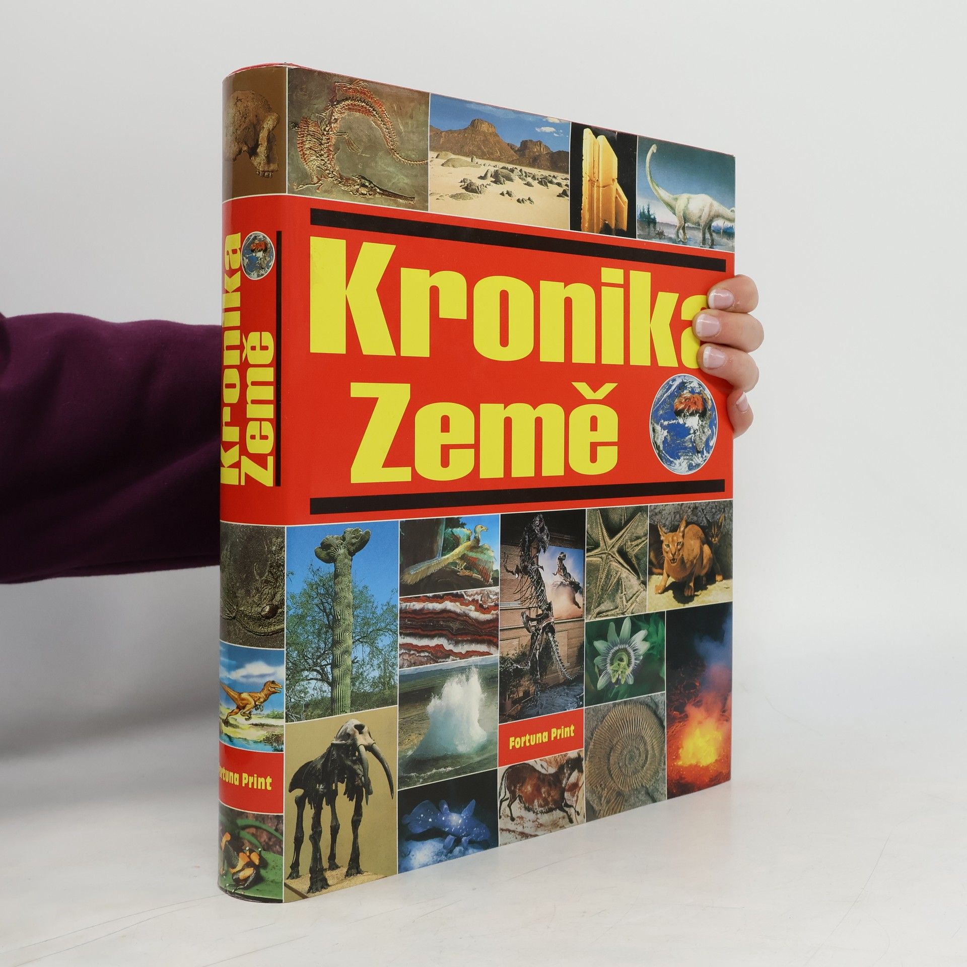 Kolektiv autorů Kronika Země