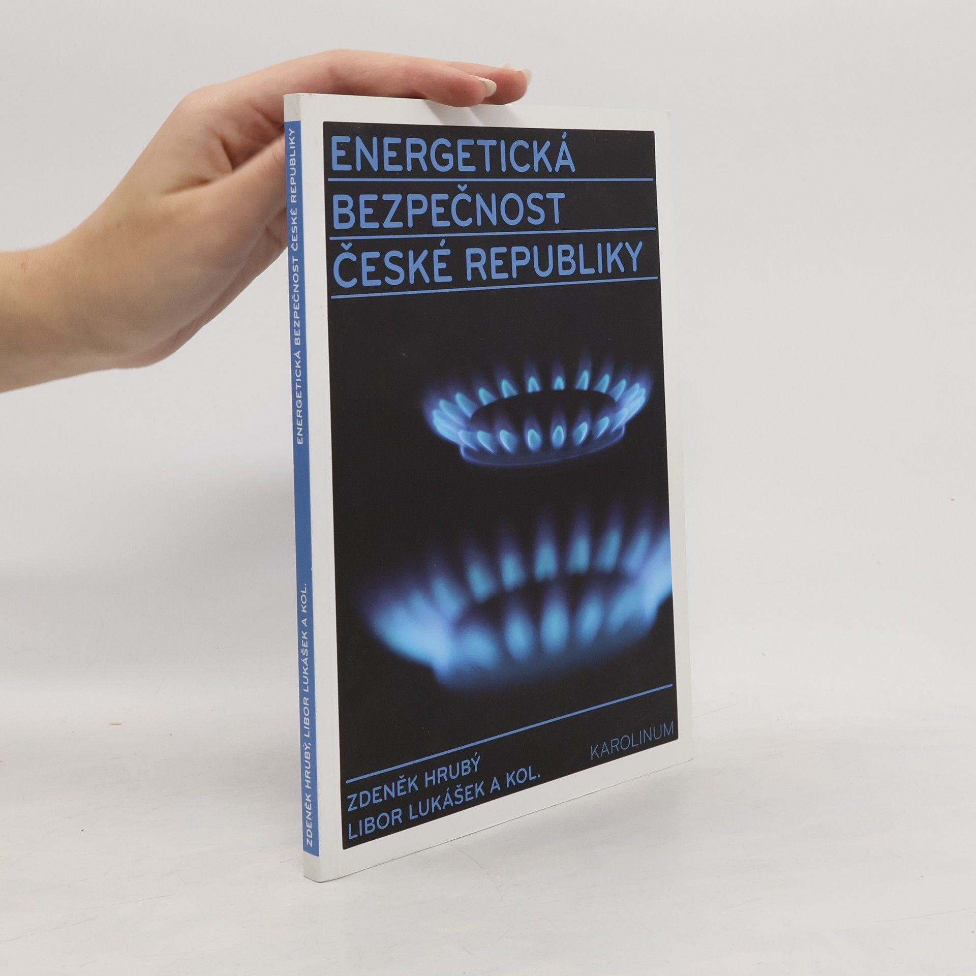 Energetická bezpečnost České republiky