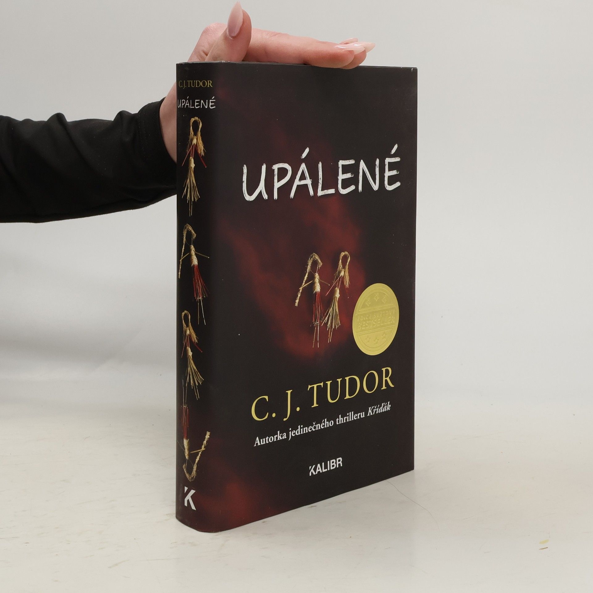 C. J. Tudor Upálené