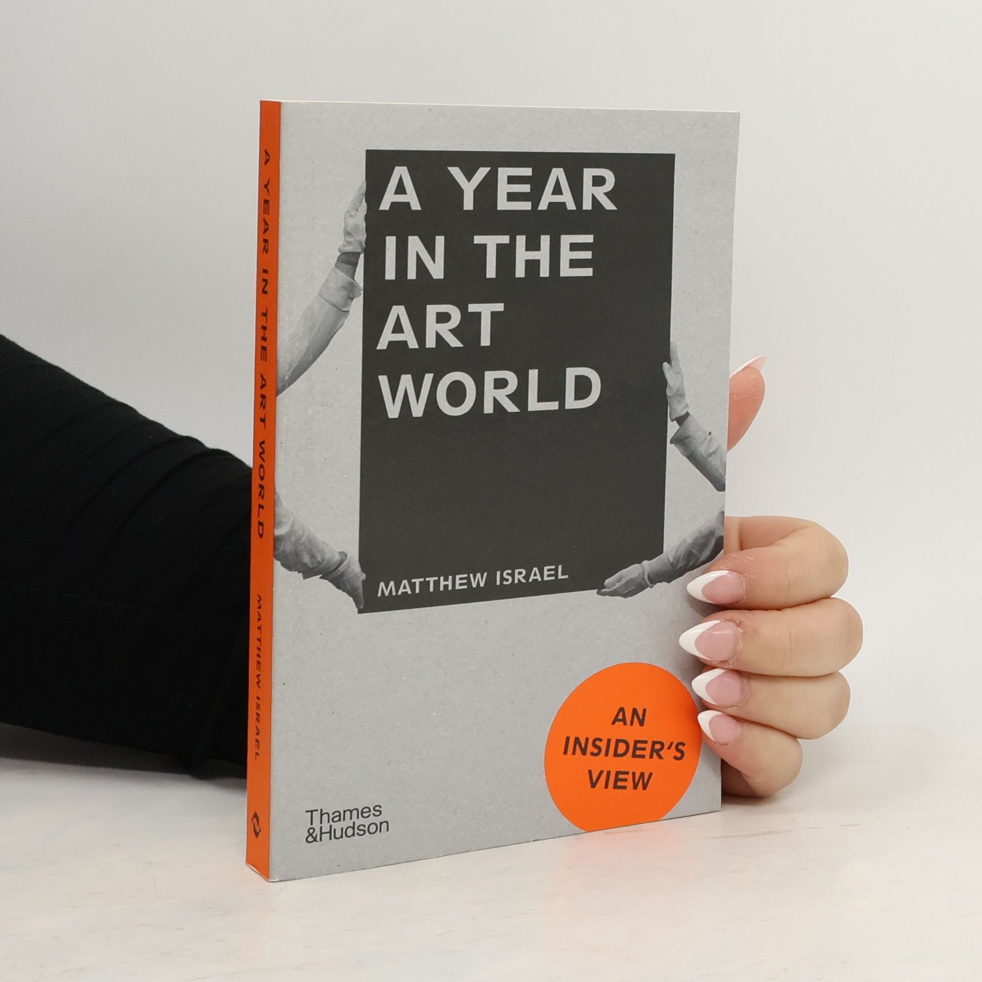 Matthew Israel A Year in the Art World