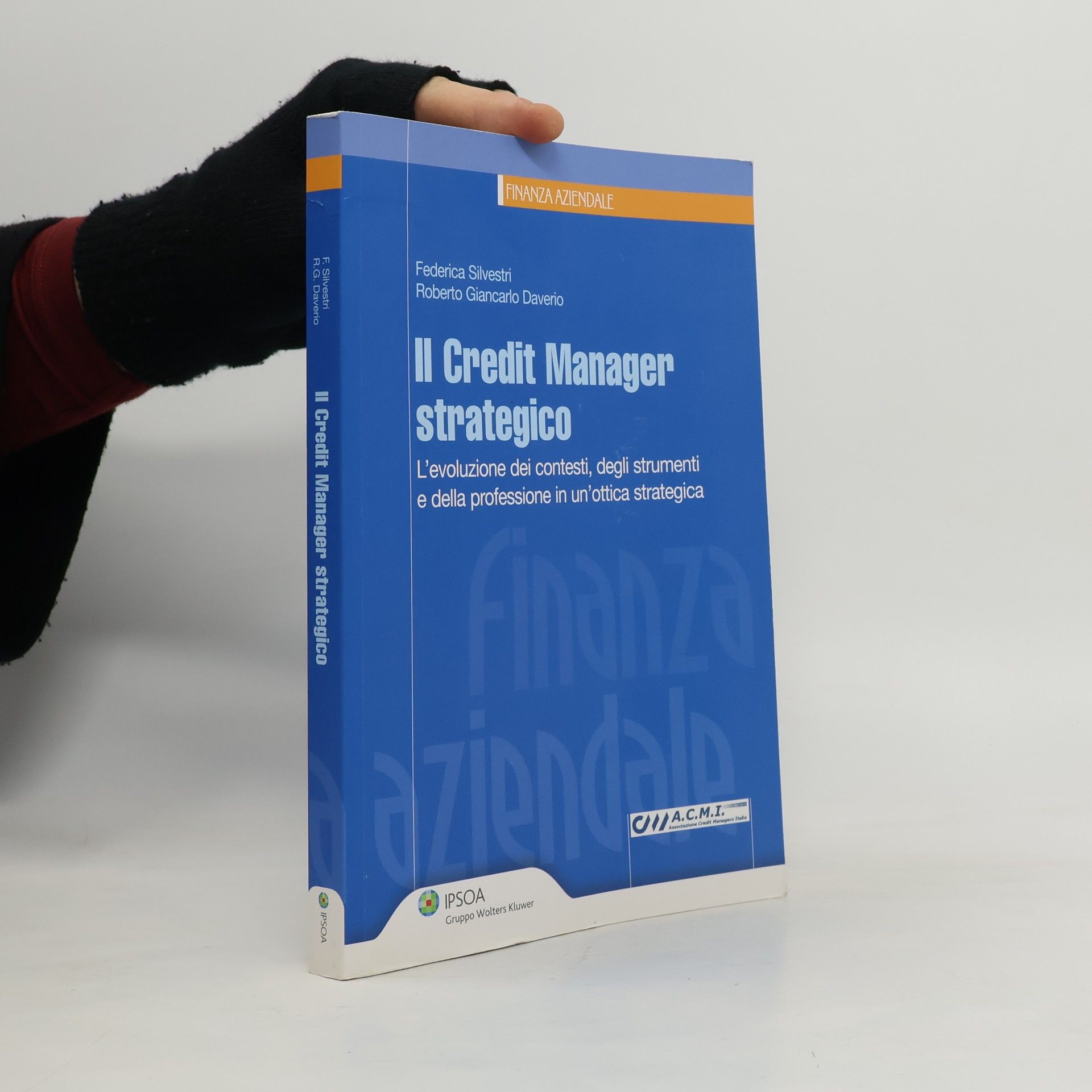 Federica Silvestri Il credit manager strategico. L'evoluzione dei contesti, degli strumenti e della professione in un'ottica strategica