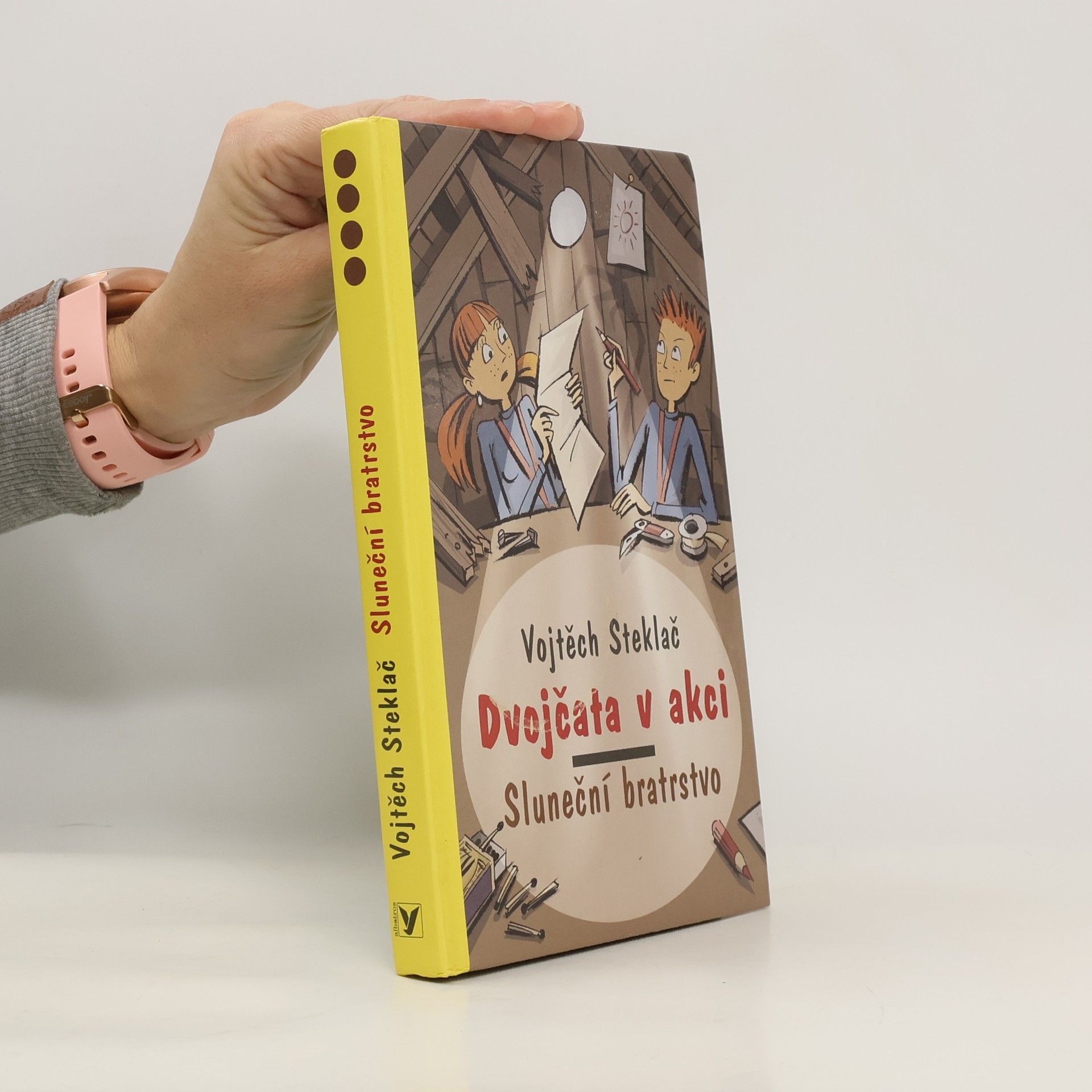 Dvojčata v akci. Sluneční bratrstvo