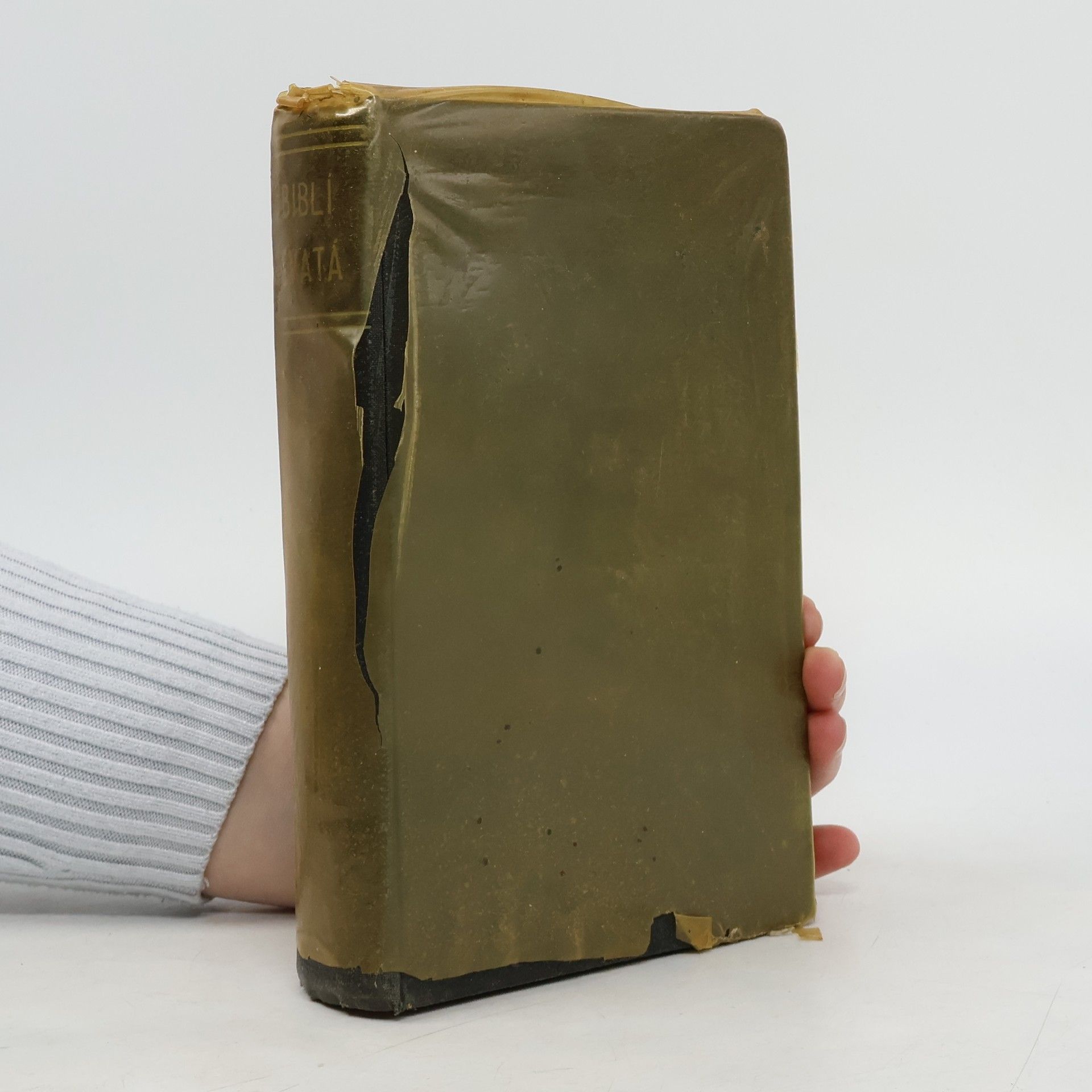 Kolektiv autorů Biblí svatá