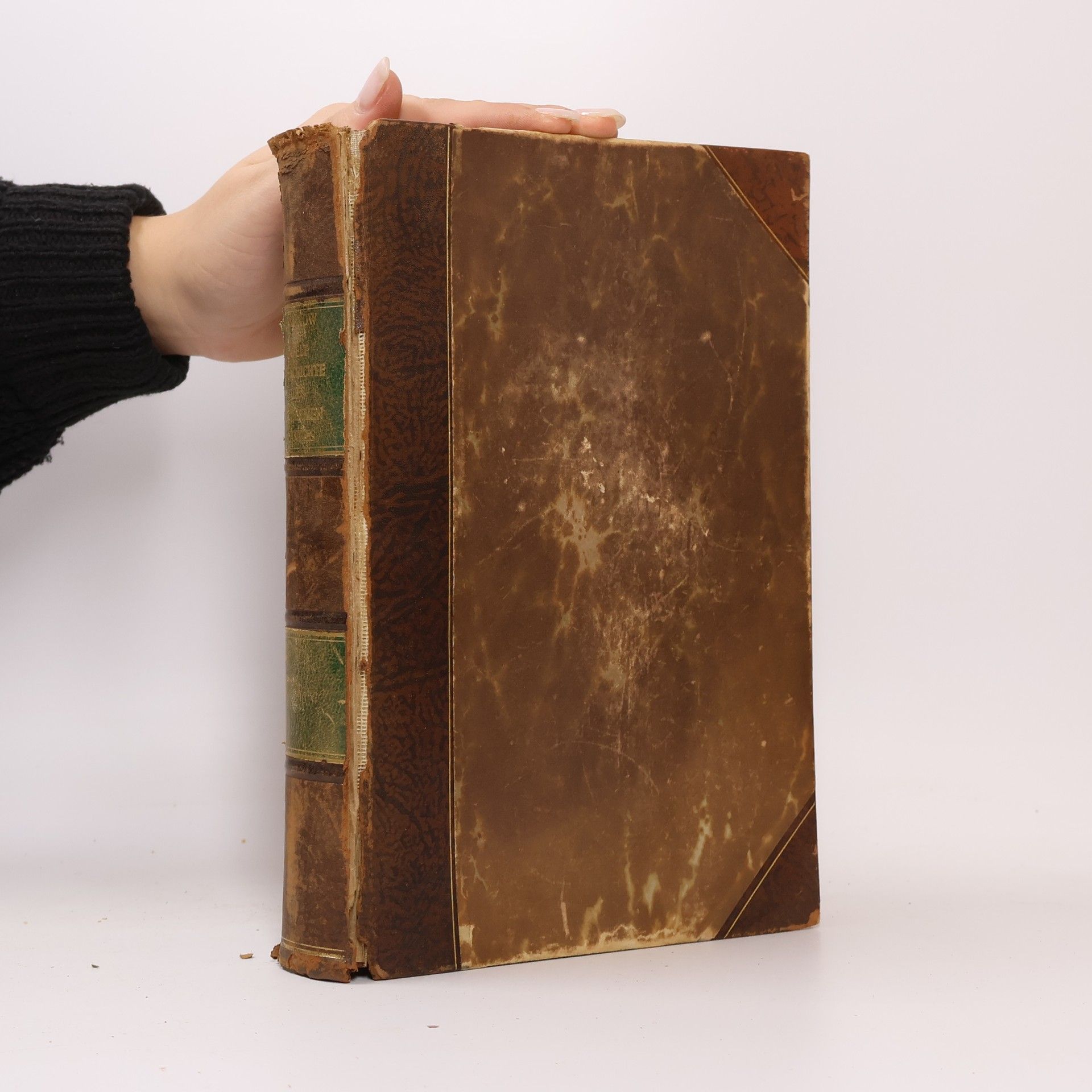 Weltgeschichte des jüdischen Volkes