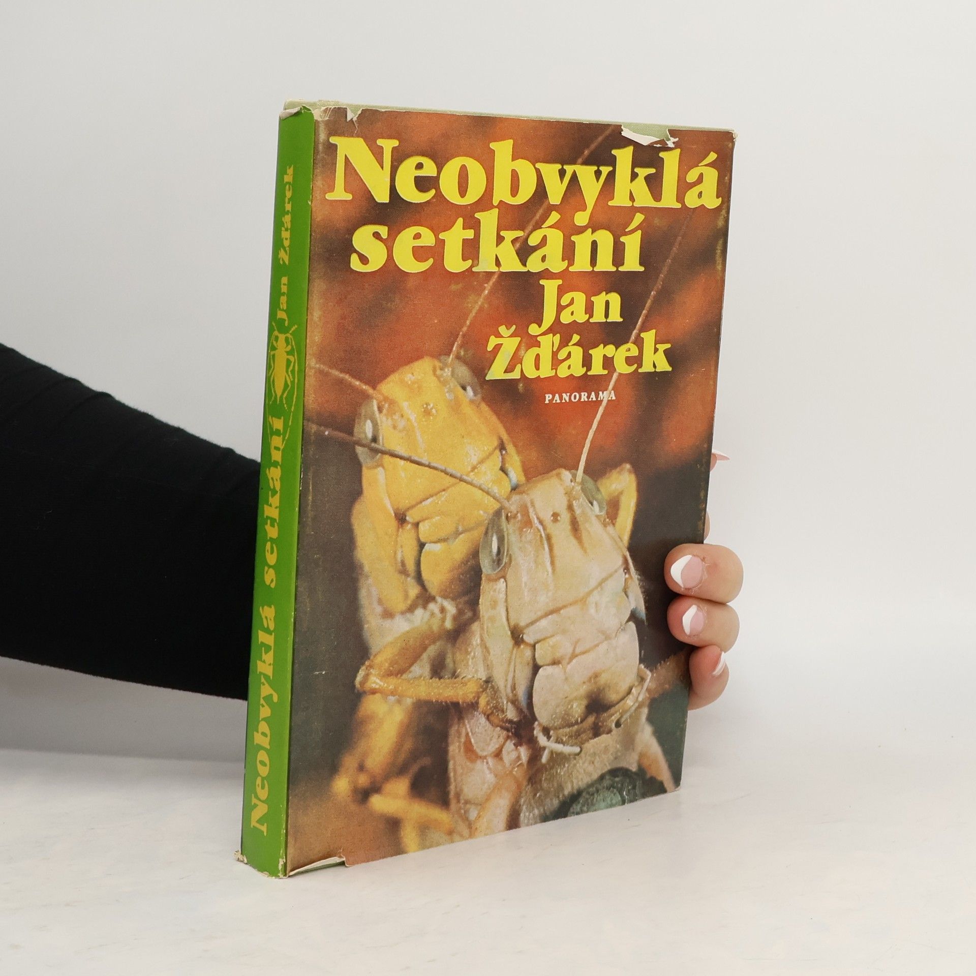 Neobvyklá setkání