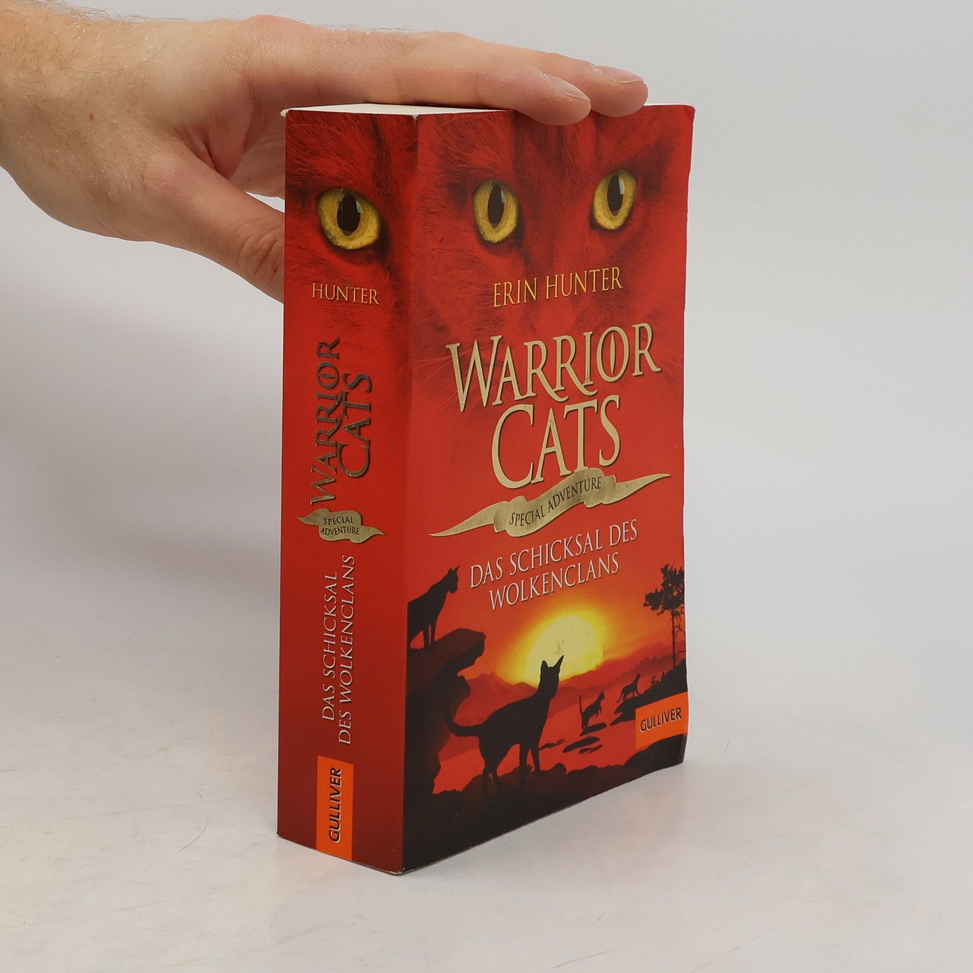 Erin Hunter Warrior Cats. Das Schicksal des WolkenClans