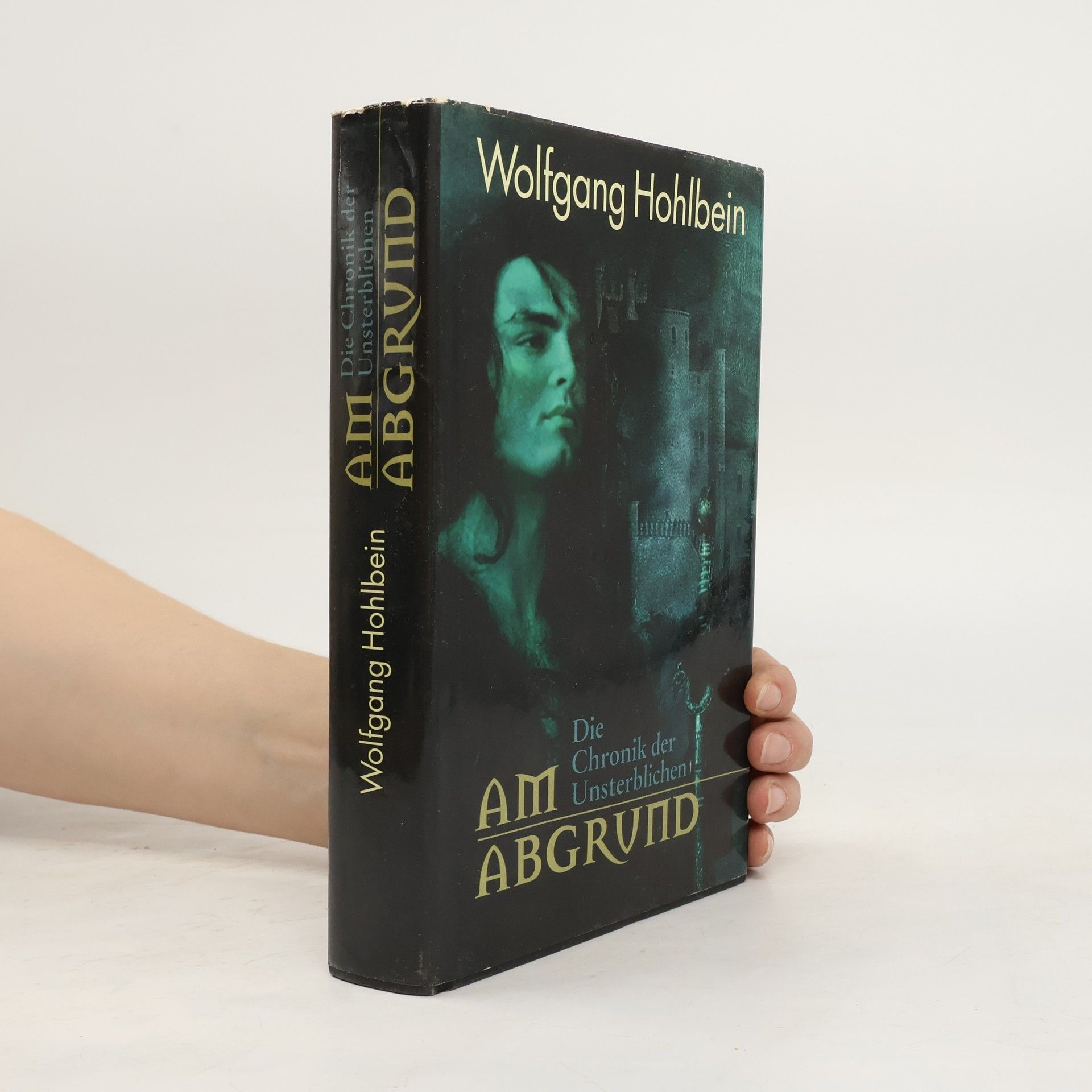 Wolfgang Hohlbein Am Abgrund