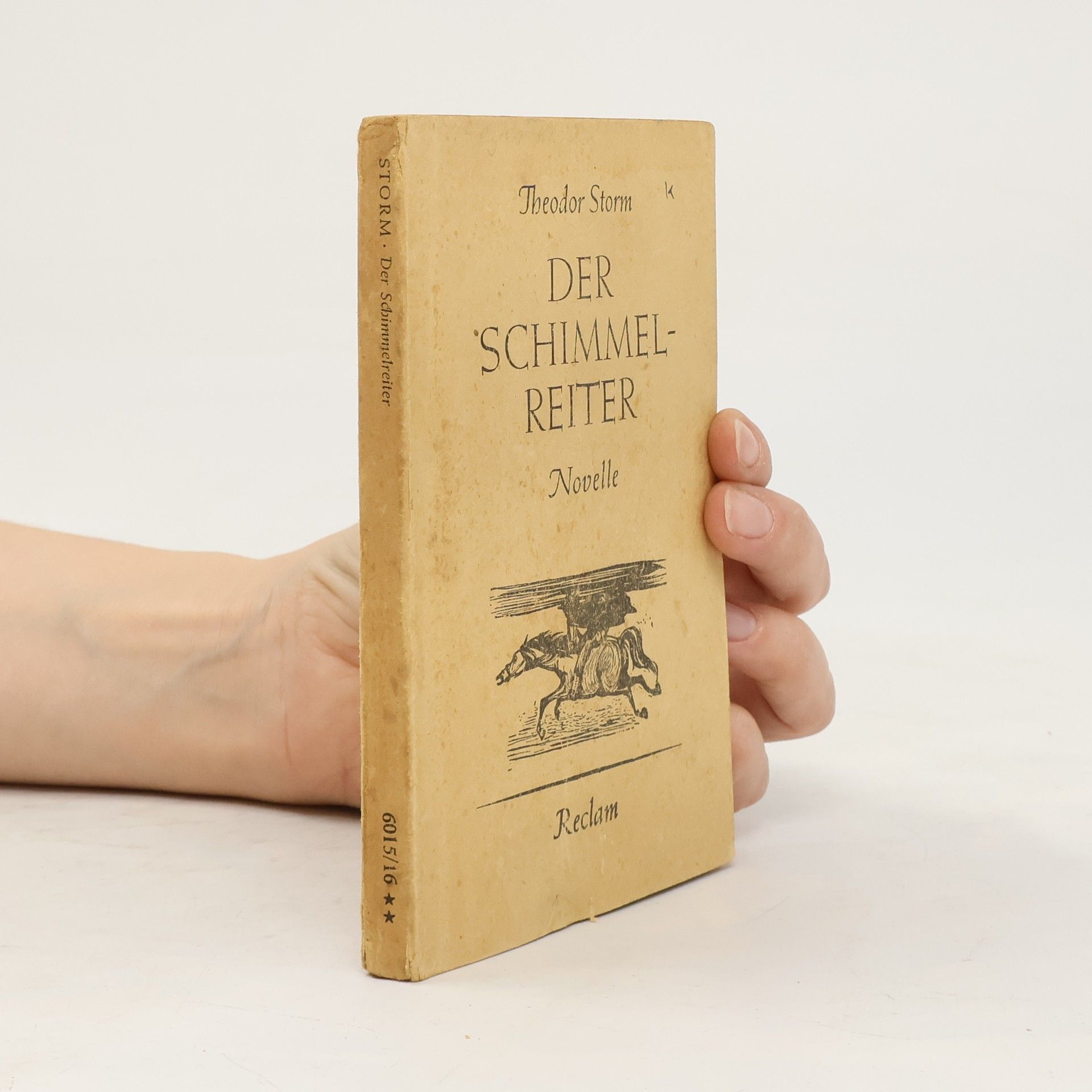 Theodor Storm Der Schimmelreiter