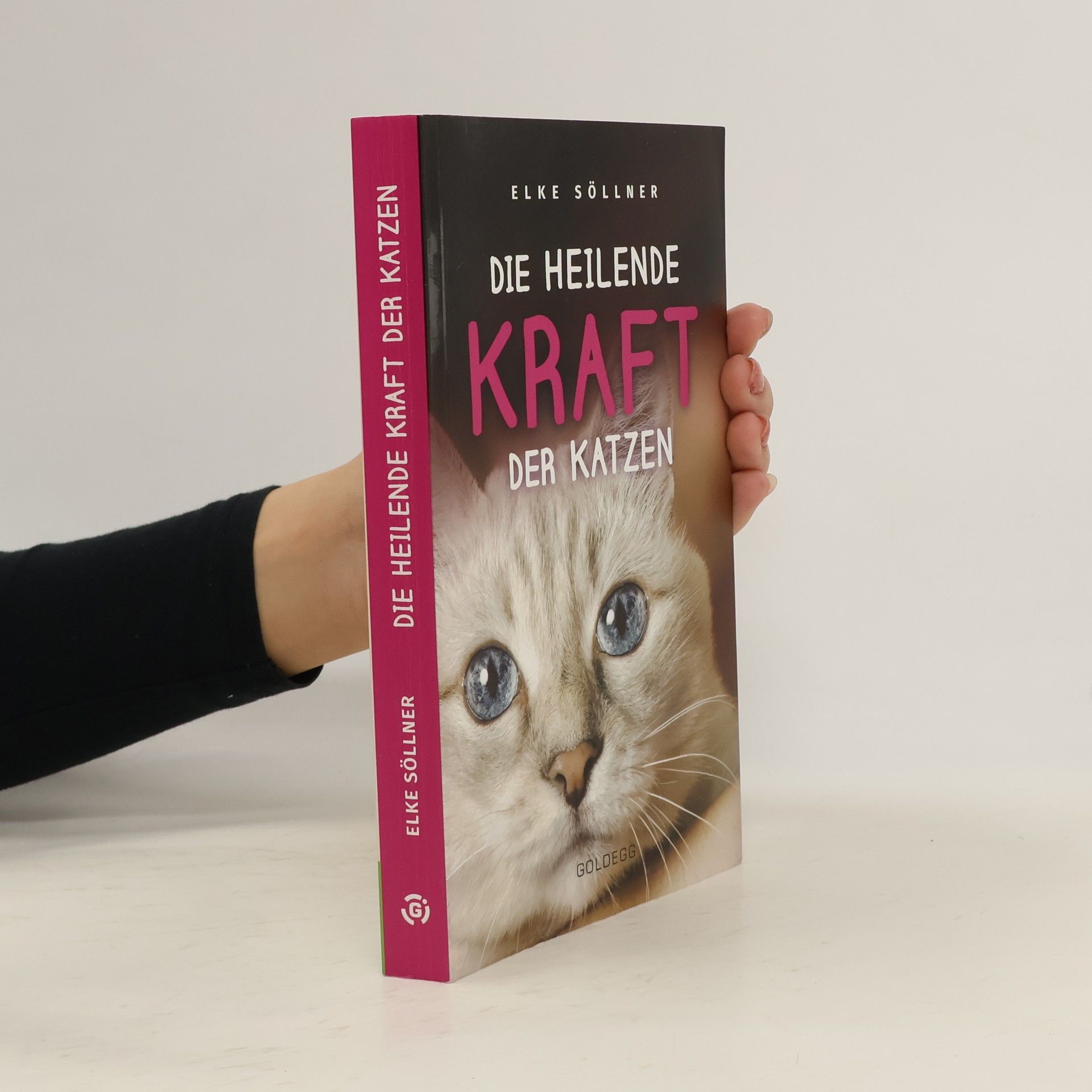 Die heilende Kraft der Katzen