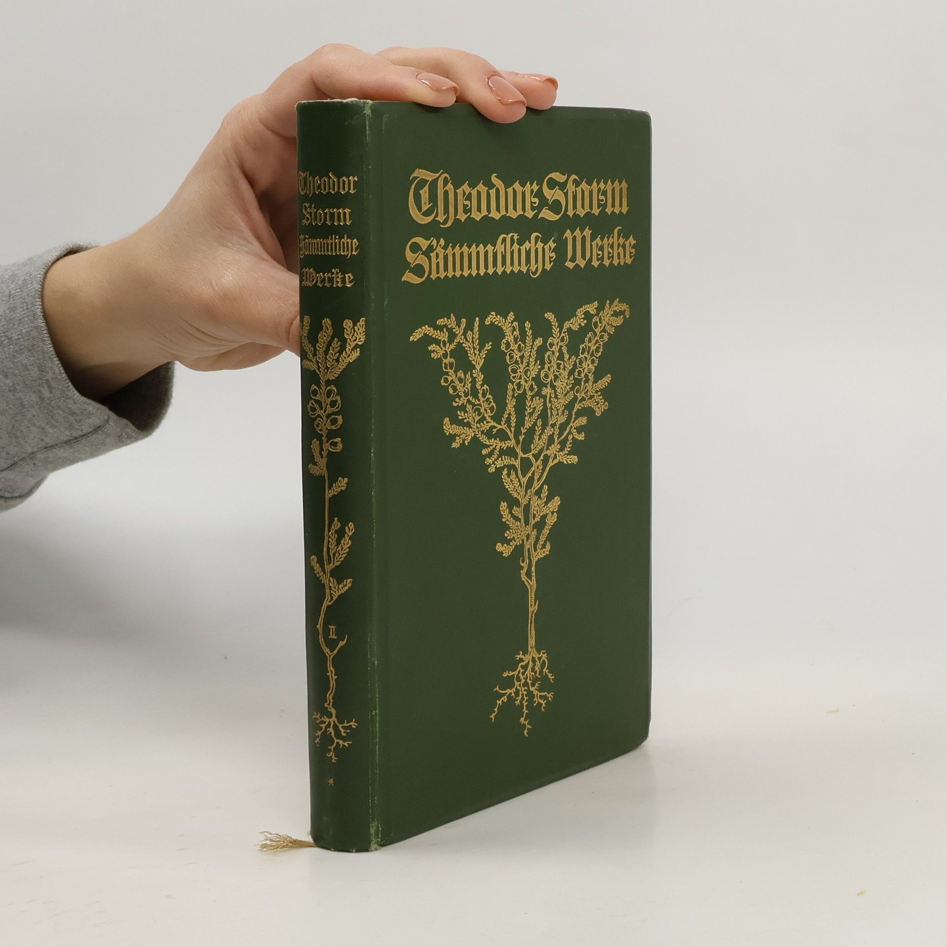 Hans Theodor Woldsen Storm Sämmtliche Werke II.