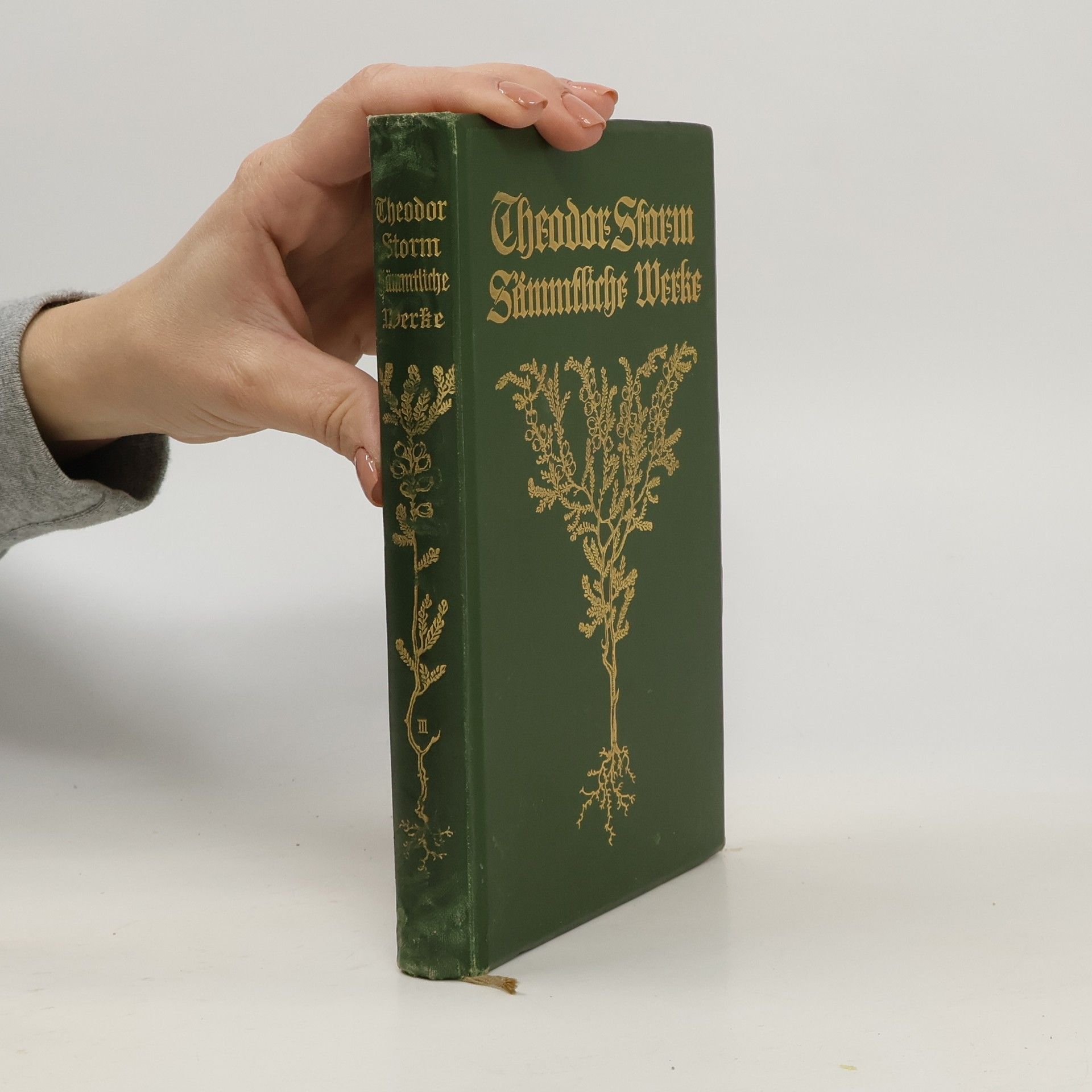 Theodor Storms Sämmtliche Werke
