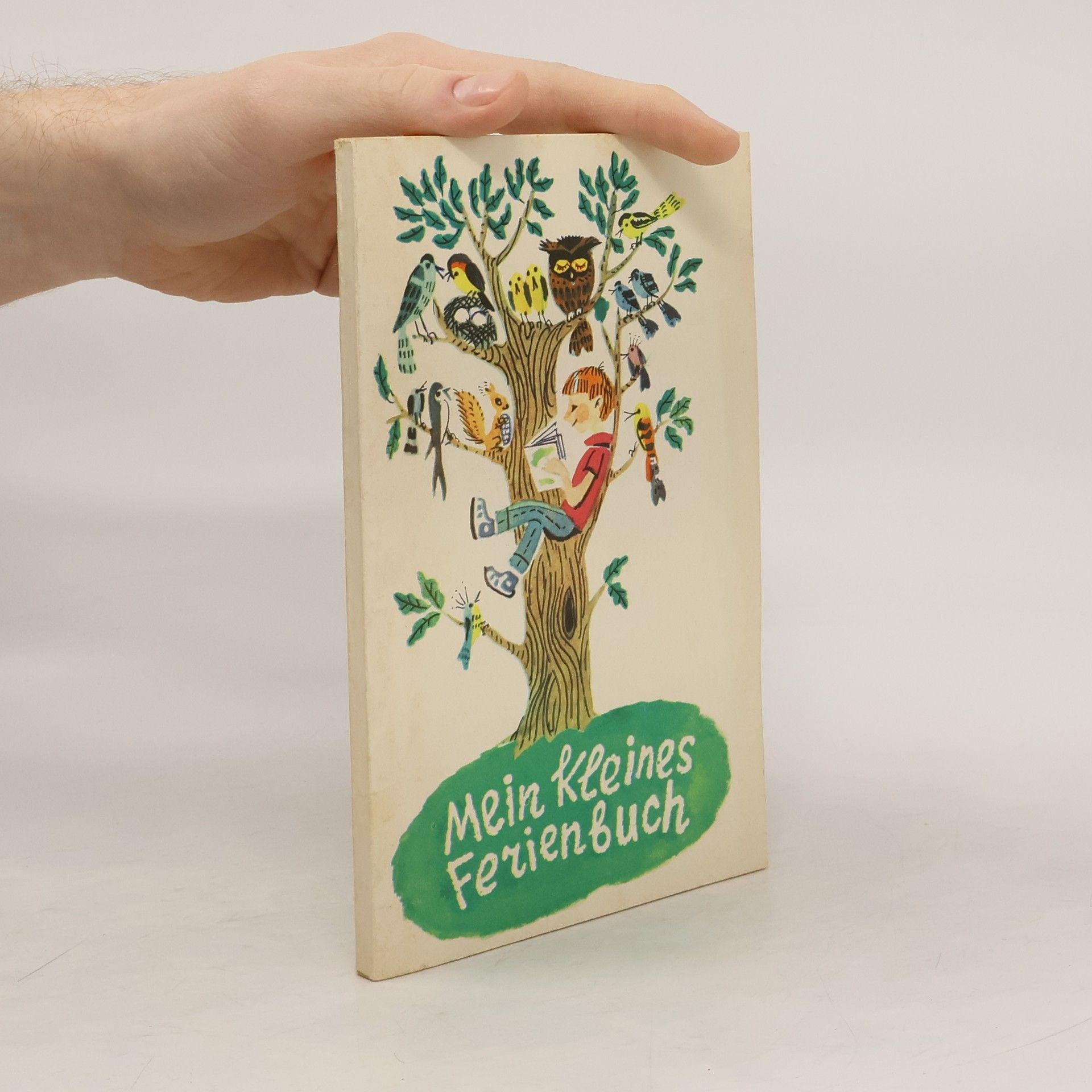 Autorenkollektiv Mein kleines Fezienbuch