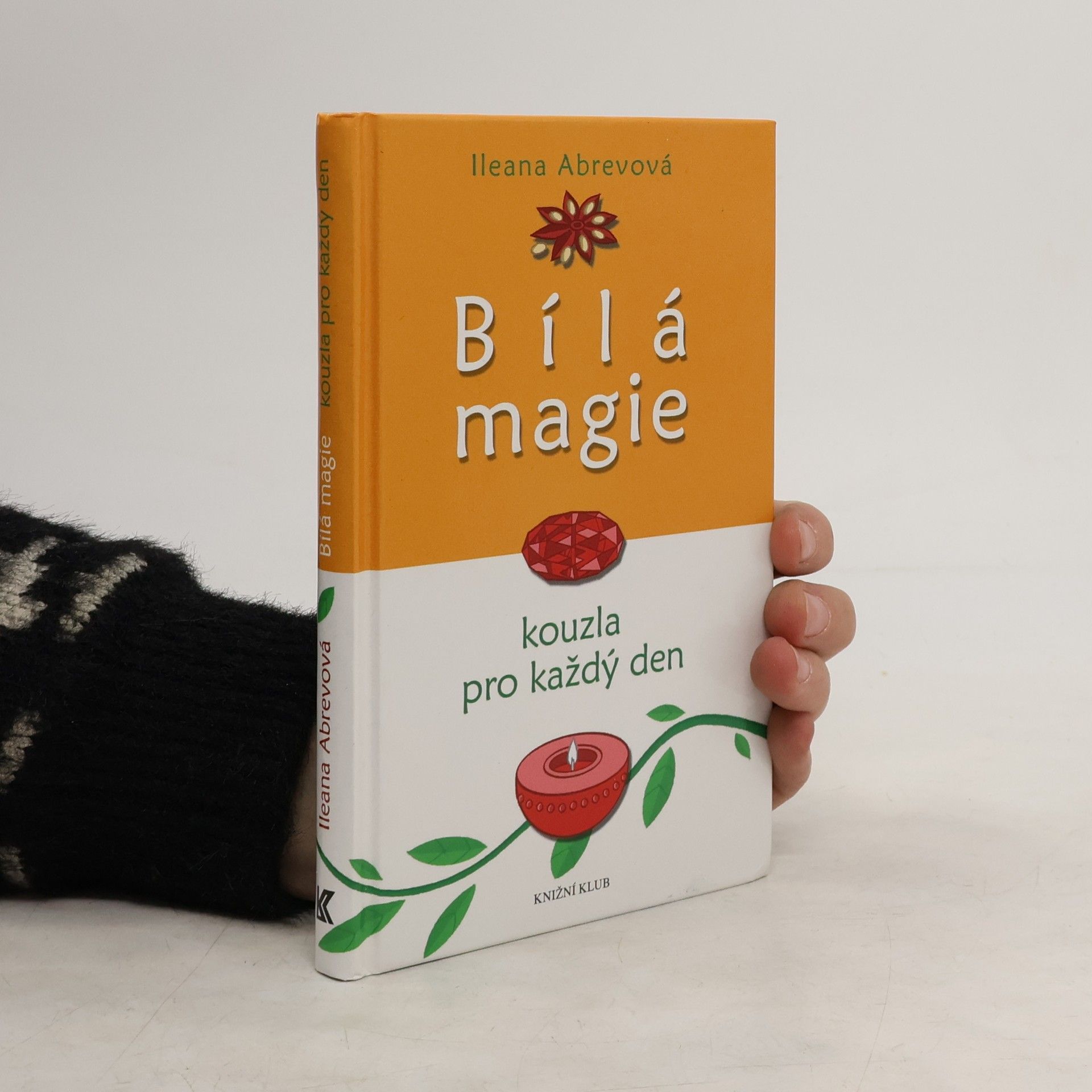 Bílá magie : kouzla pro každý den