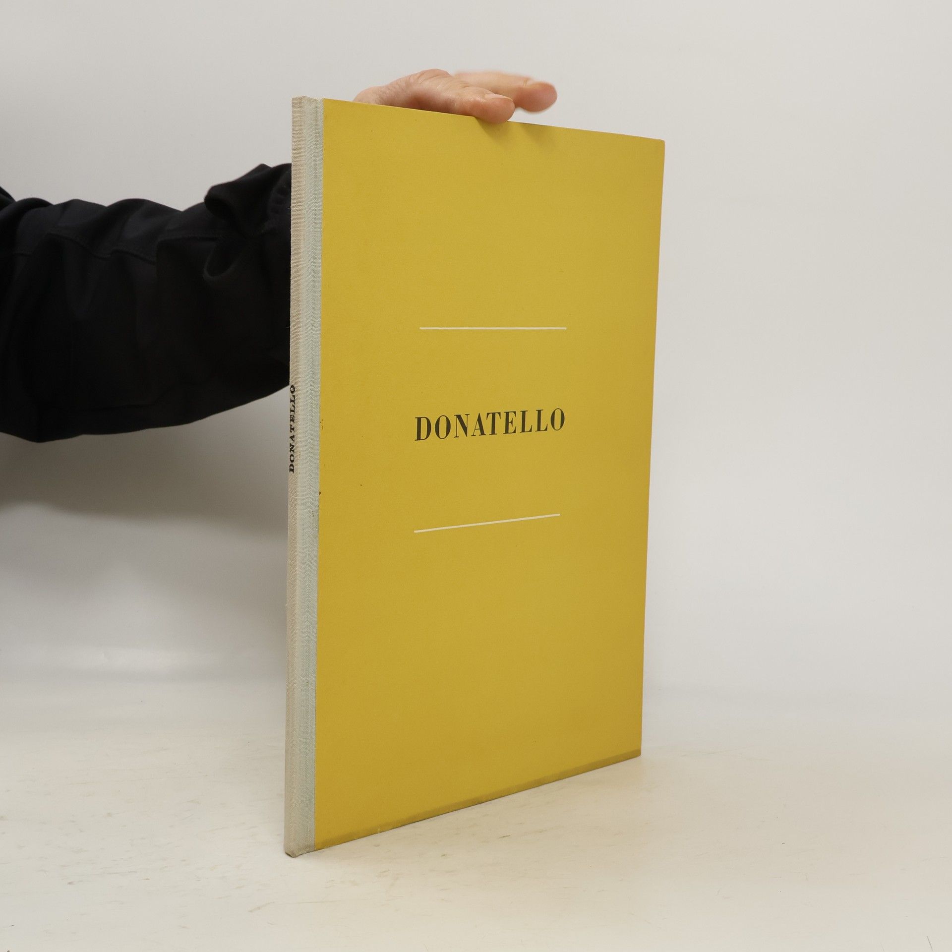 Václav Vilém Štech Donatello