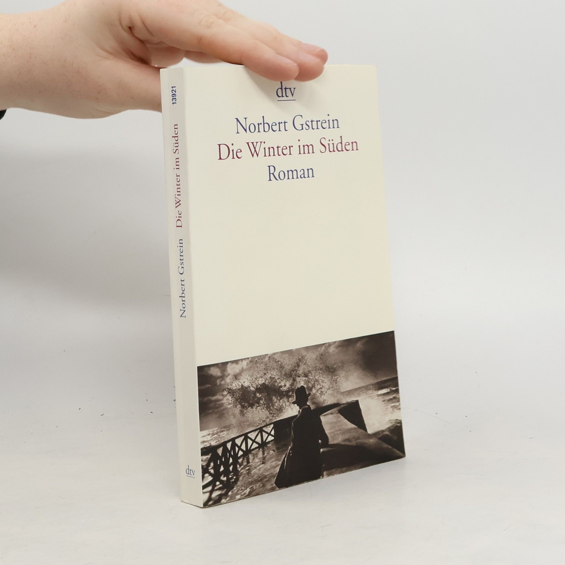 Norbert Gstrein Die Winter im Süden