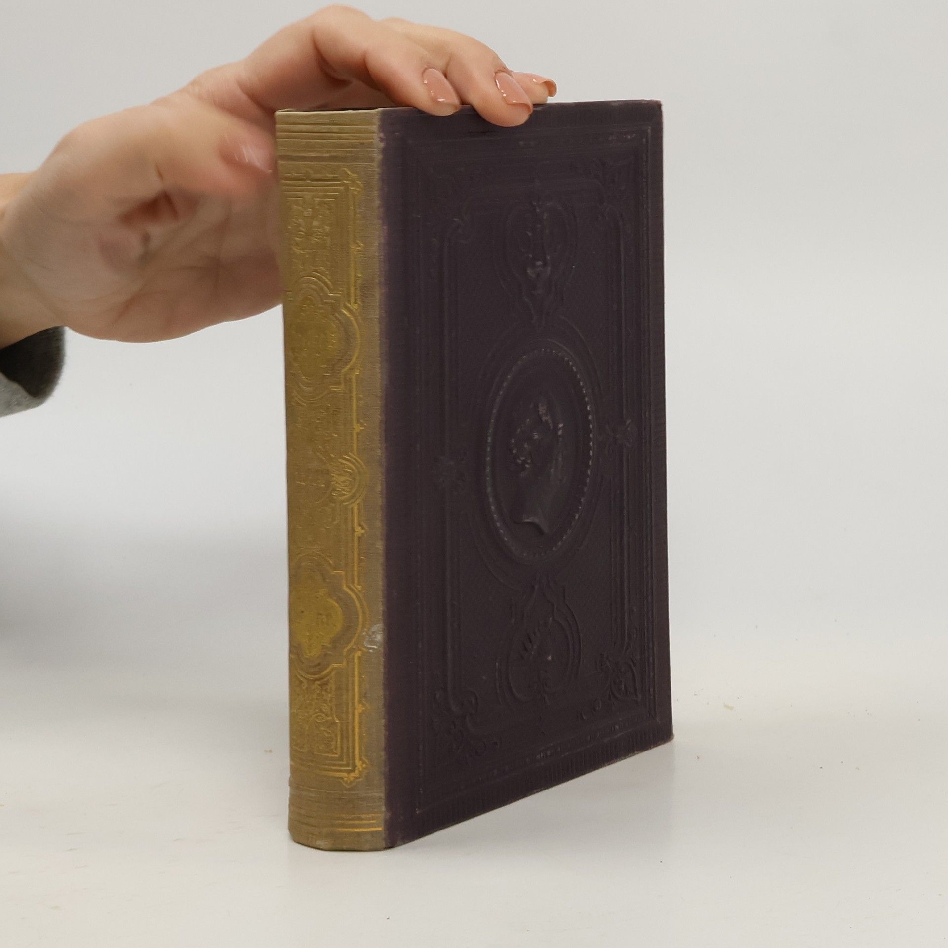 Johann Wolfgang von Goethe Goethe's Werke. Band 23