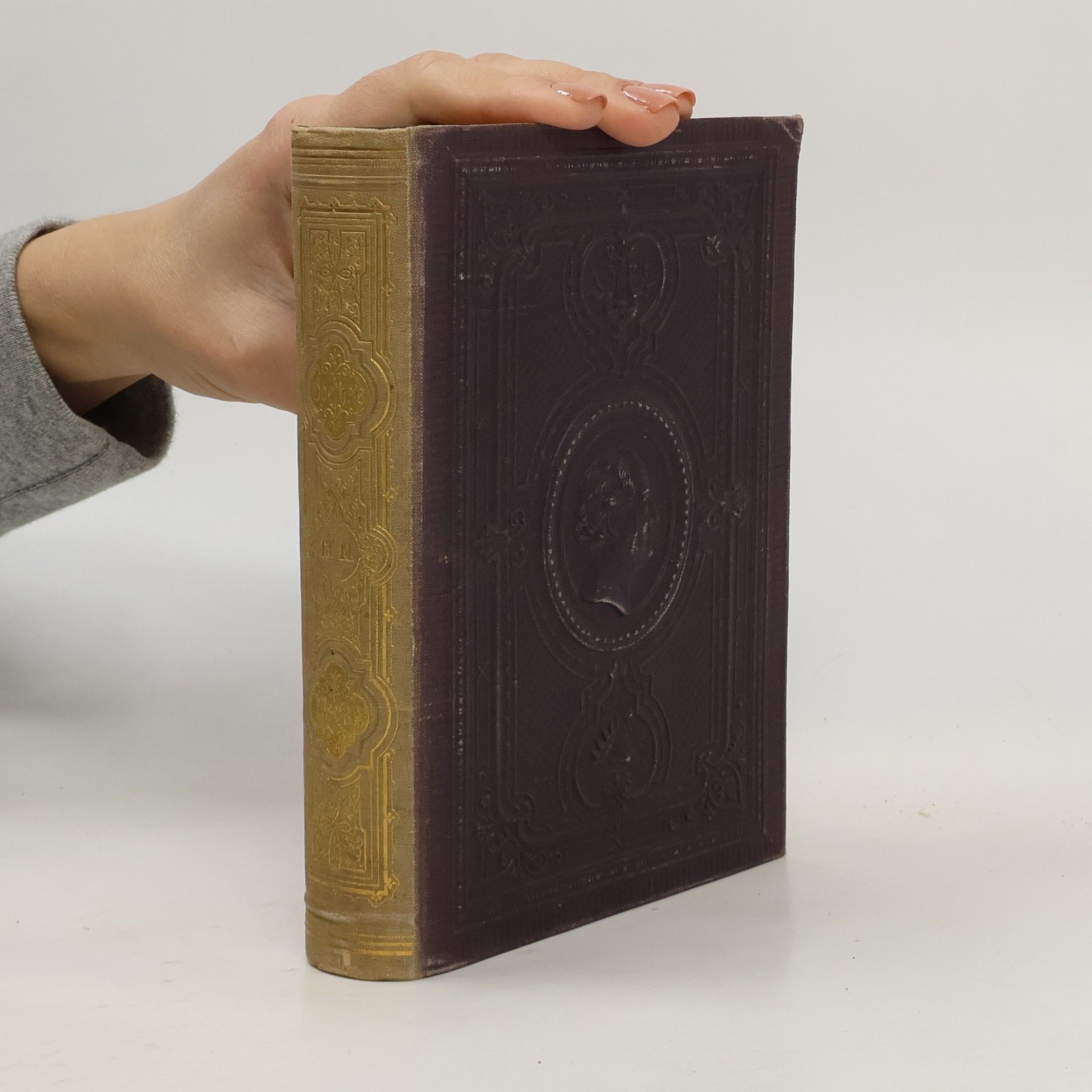 Wilhelm Meisters Wanderjahre