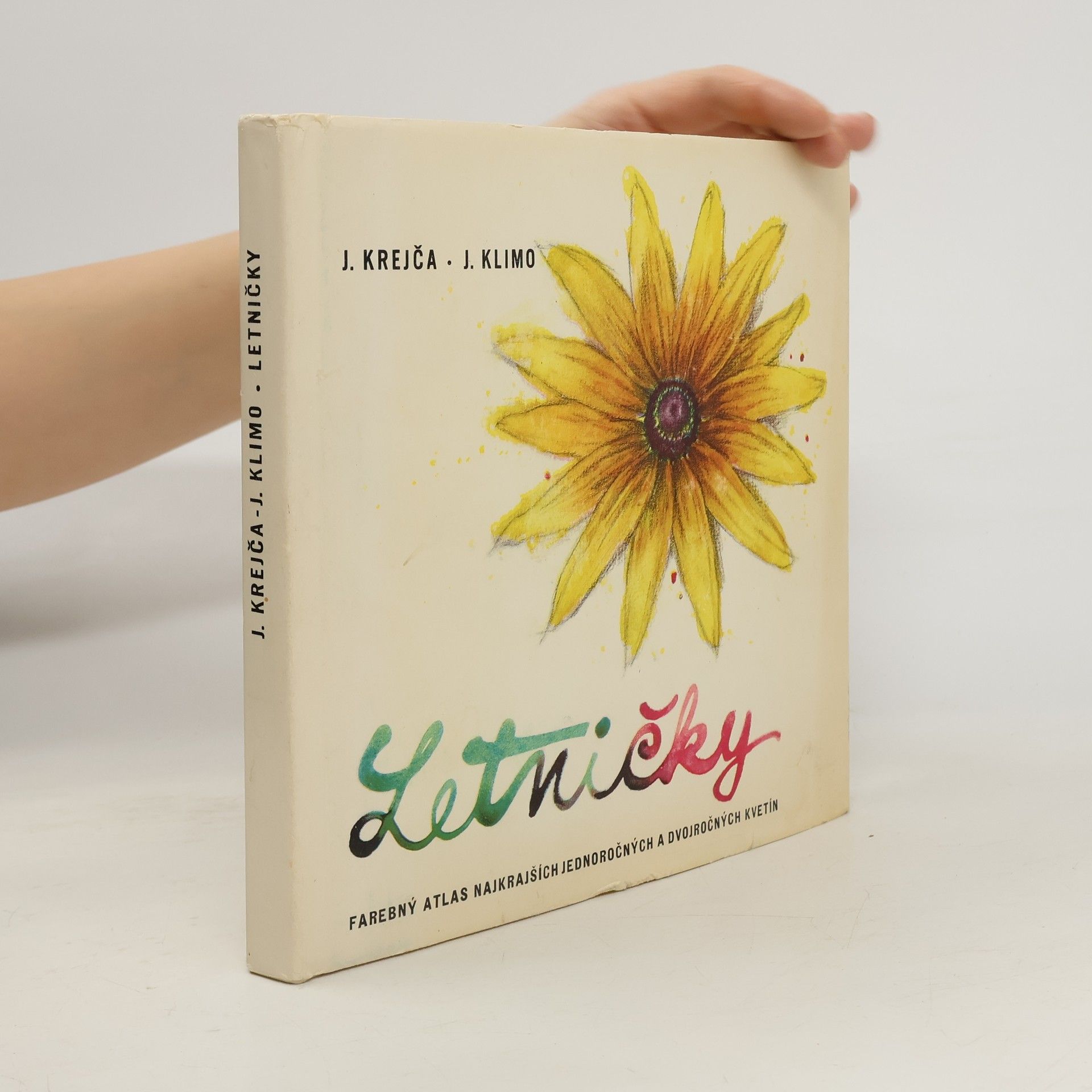 Autorenkollektiv Letničky