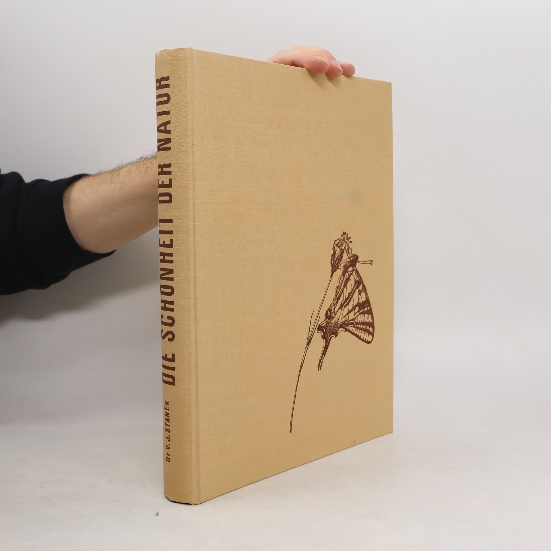 Václav Jan Staněk Die Schönheit der Natur