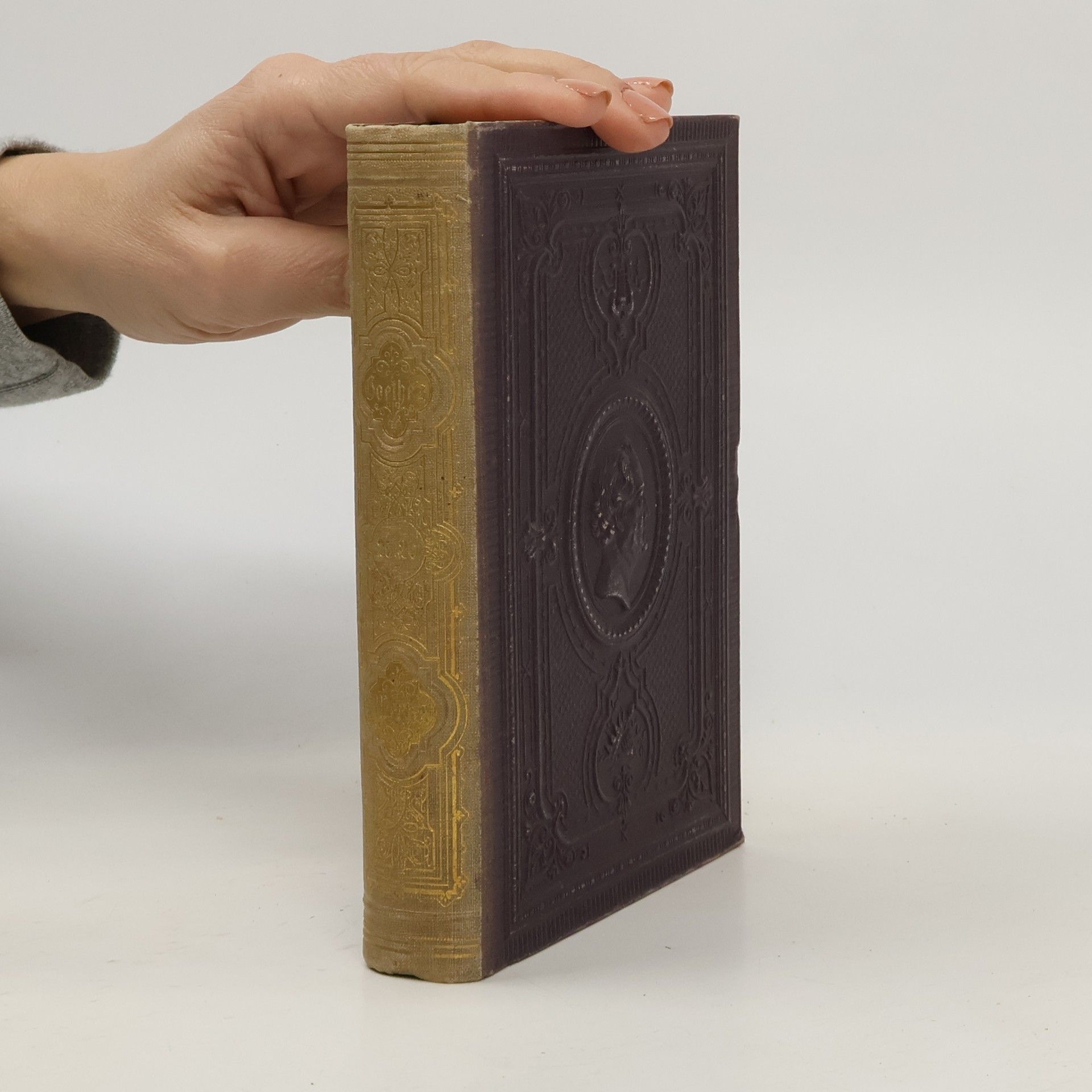 Johann Wolfgang von Goethe Goethe's Werke 25. Reisen