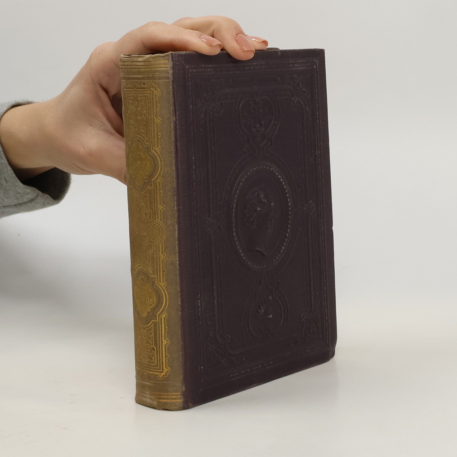 Johann Wolfgang von Goethe Goethe's Werke. Band 21