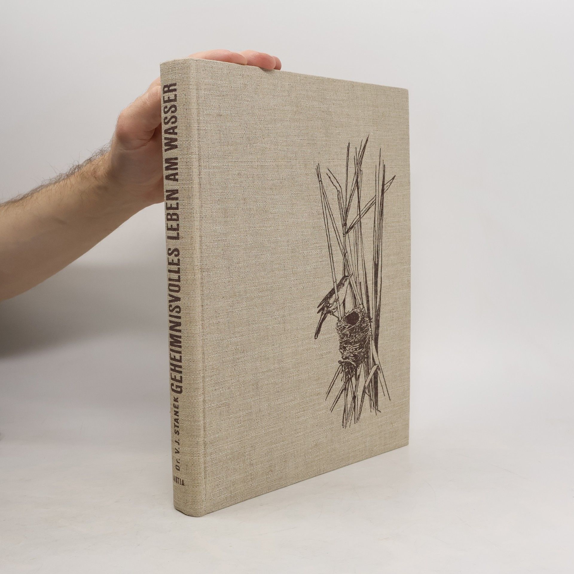 Václav Jan Staněk Geheimnisvolles Leben Am Wasser