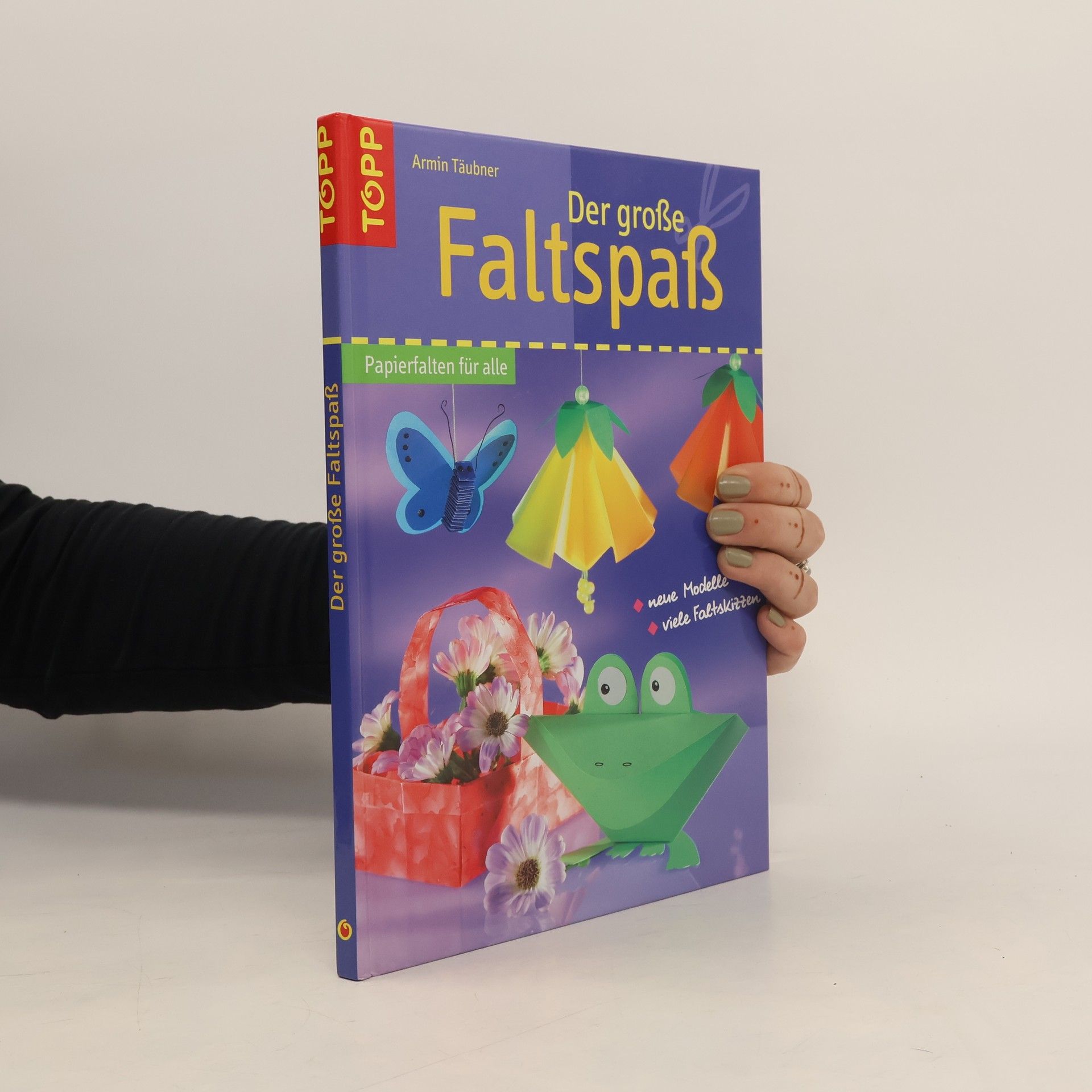 Armin Täubner Der große Faltspaß