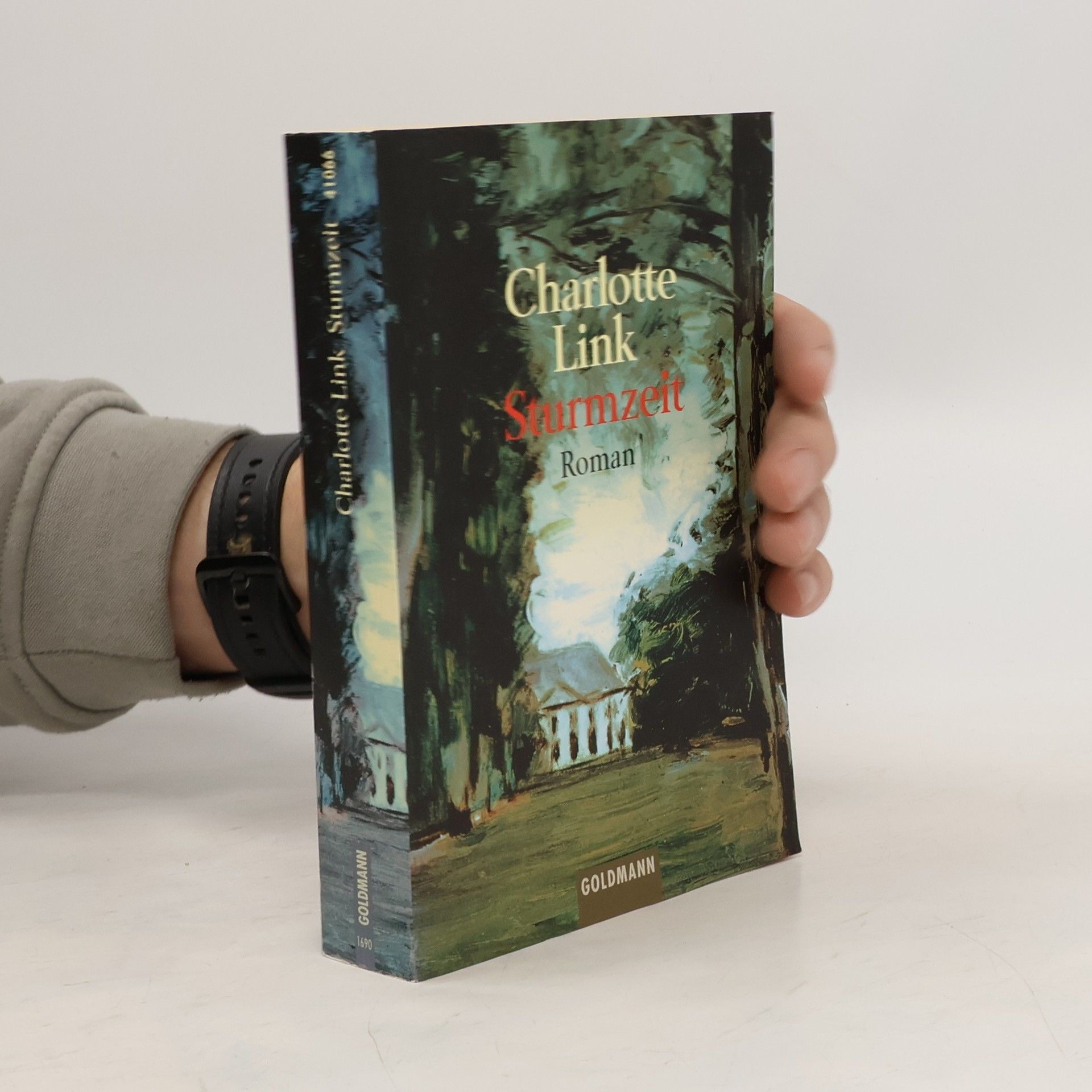 Charlotte Link Sturmzeit