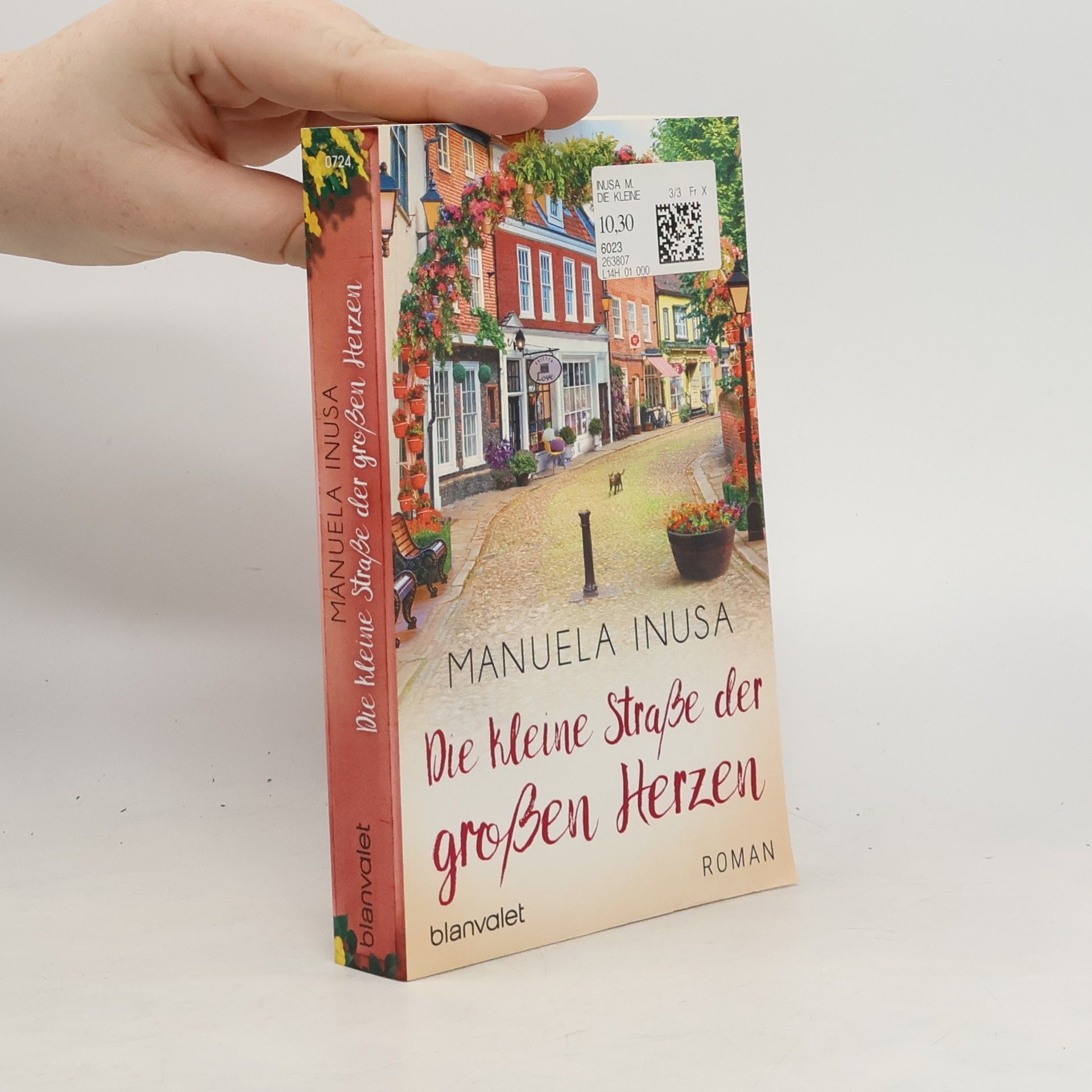 Manuela Inusa Die kleine Straße der großen Herzen