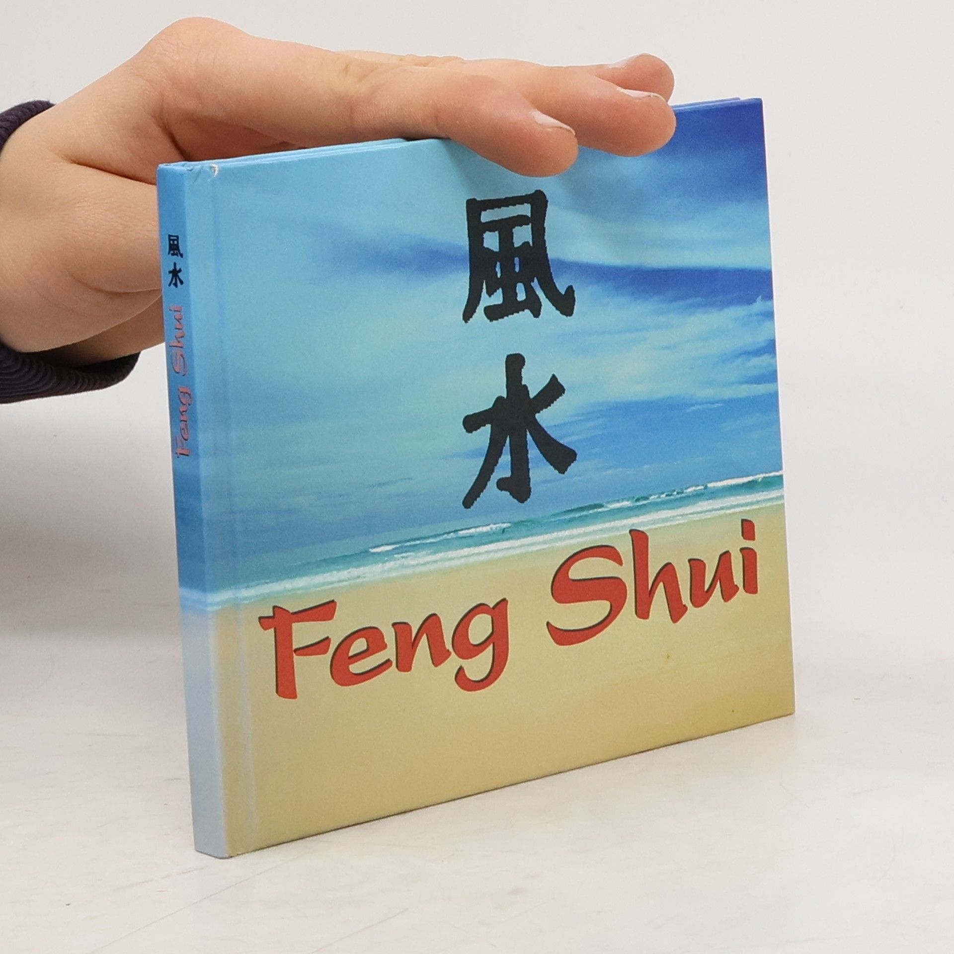 Miriam Schmidt Feng Shui