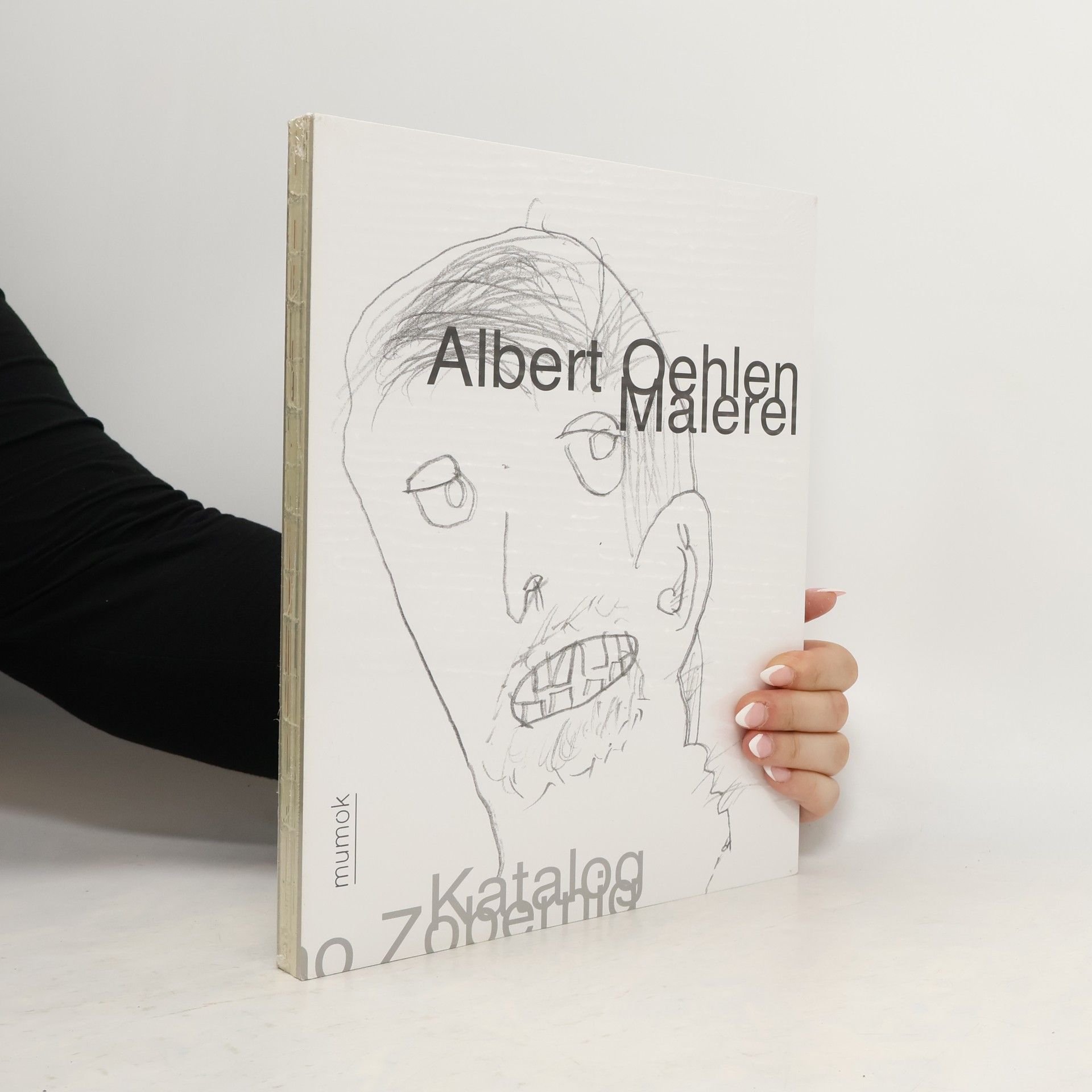 Heimo Zobernig Albert Oehlen