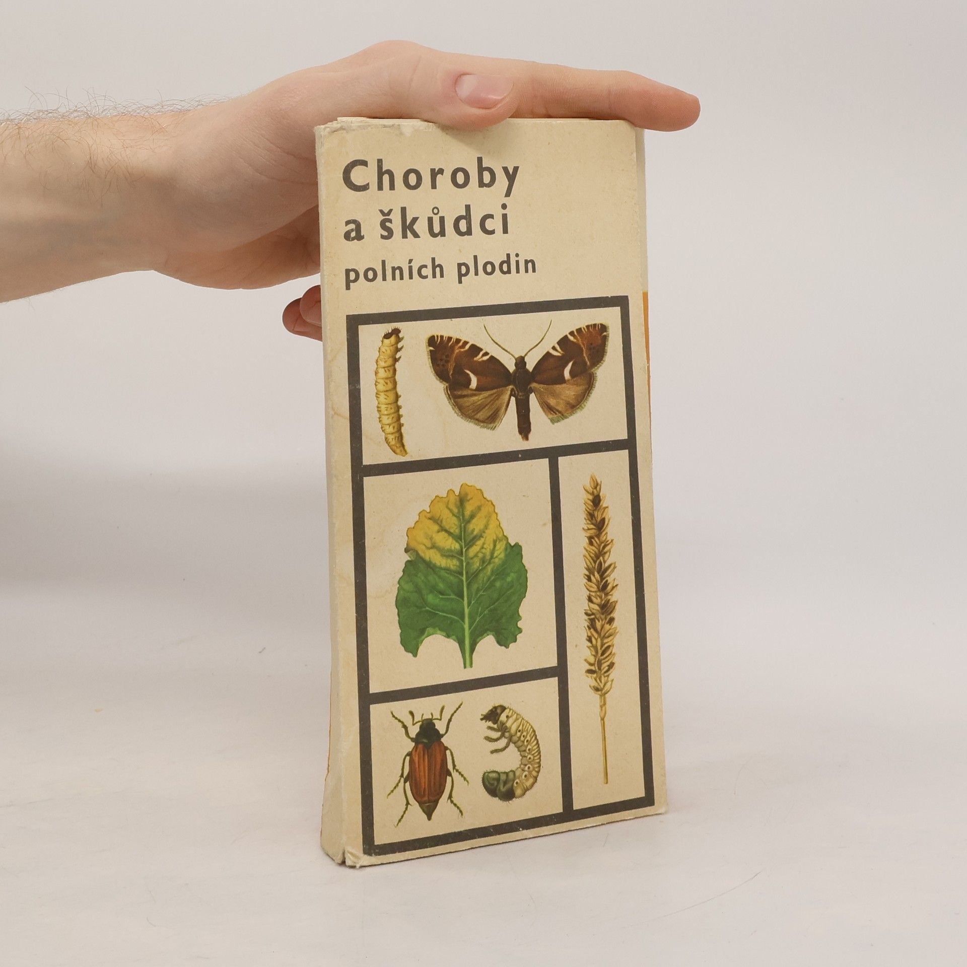 Choroby a škůdci polních plodin