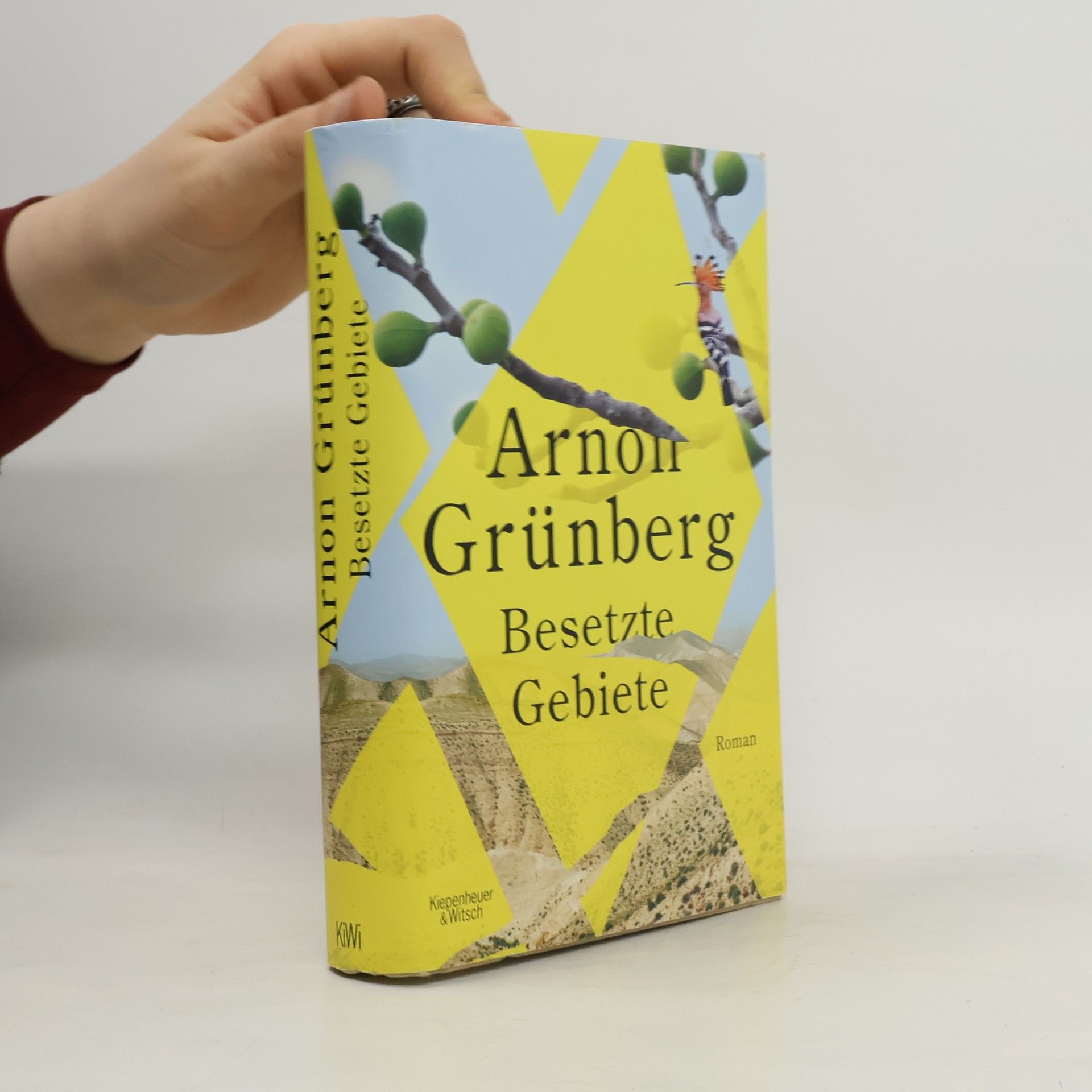 Arnon Grunberg Besetzte Gebiete