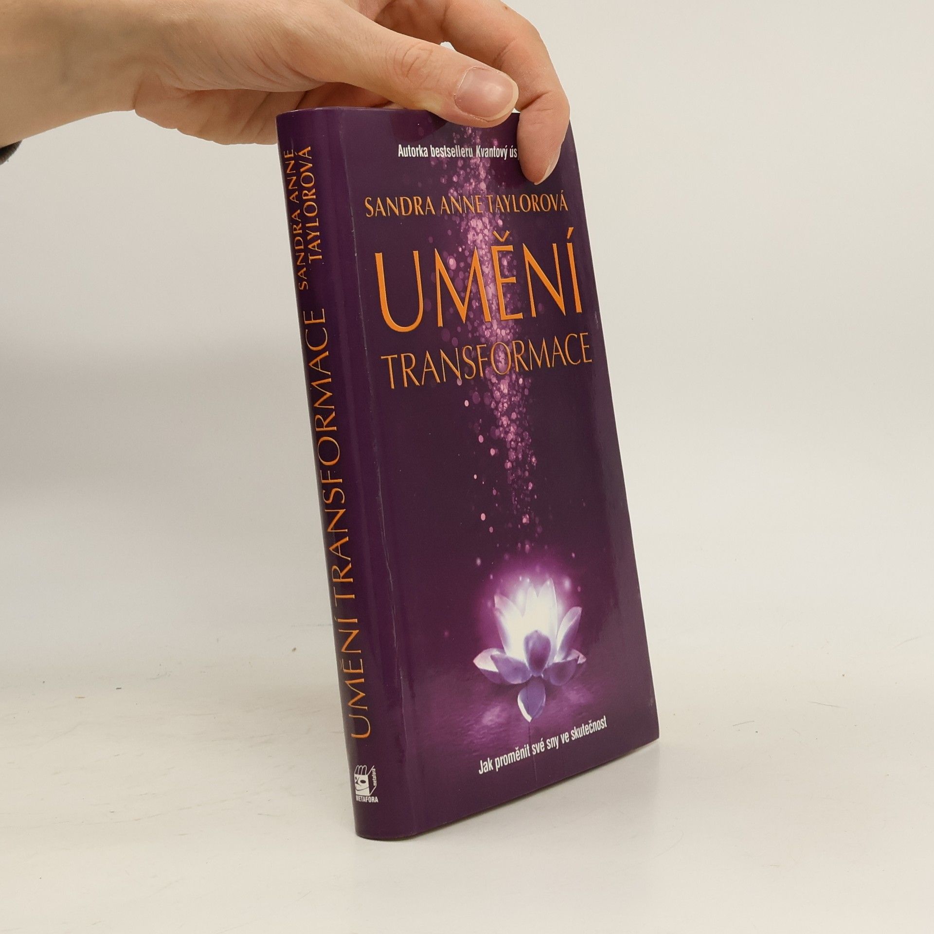 Sandra Anne Taylor Umění transformace