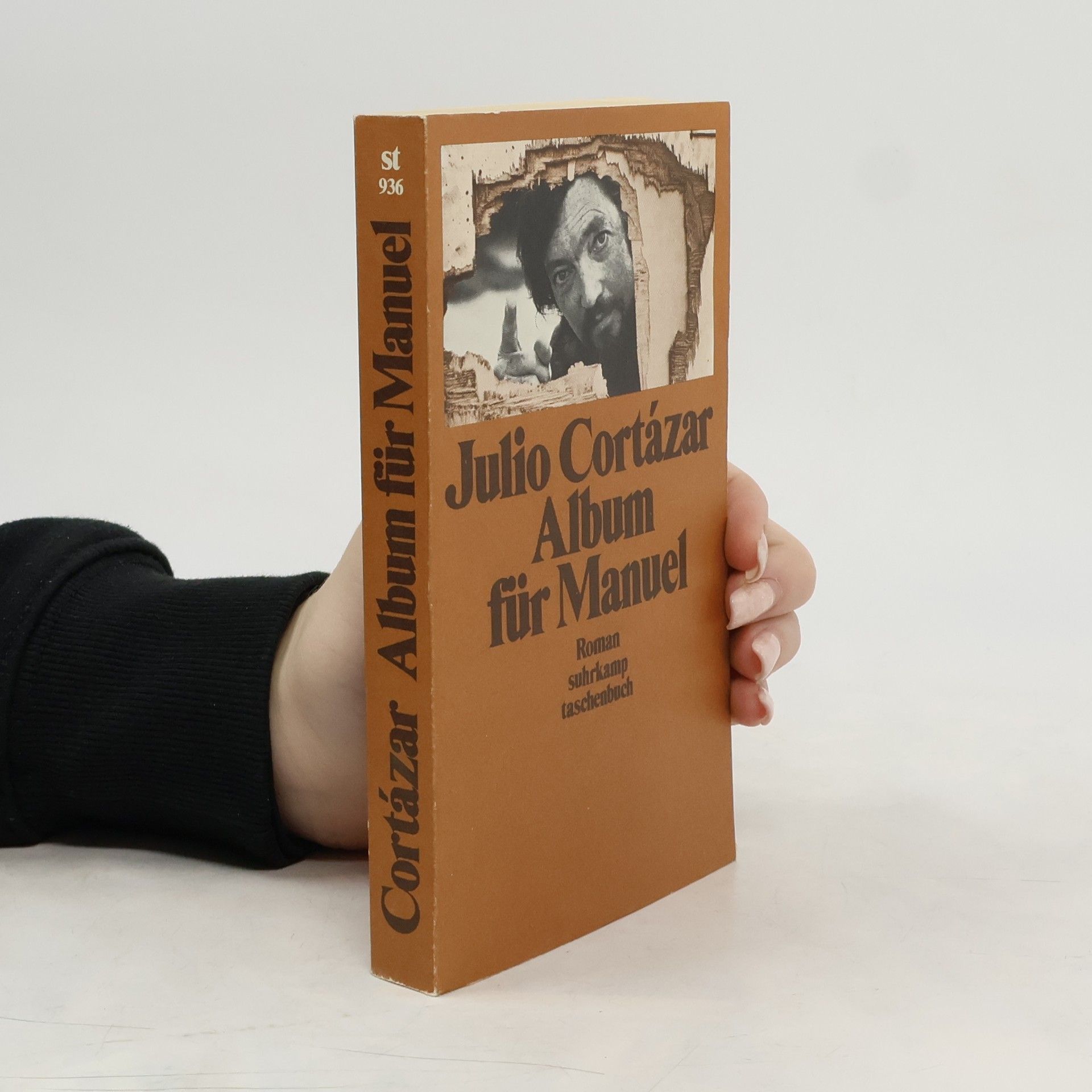 Julio Cortázar Album für Manuel. Roman