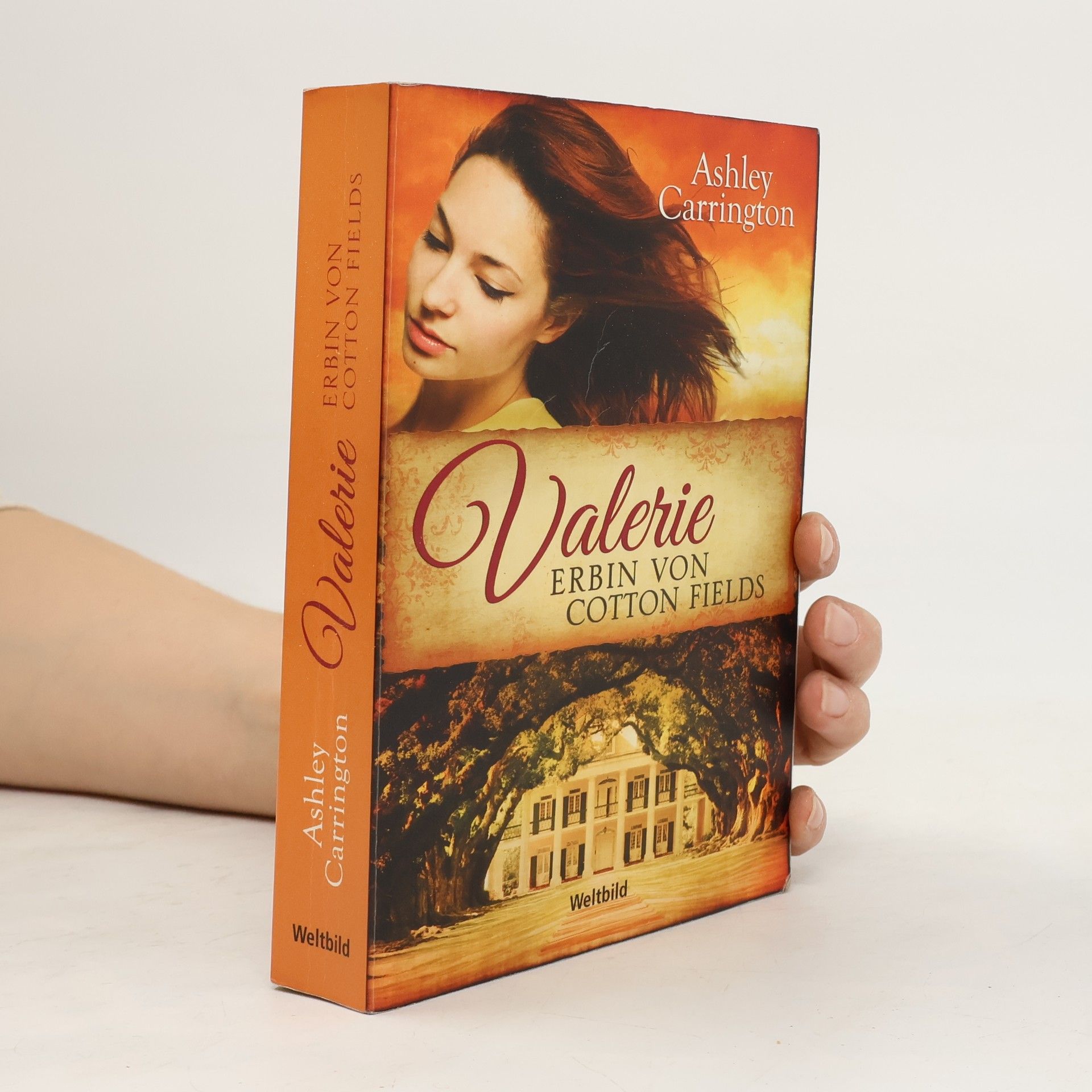 Rainer M. Schröder Valerie - Erbin von Cotton Fields