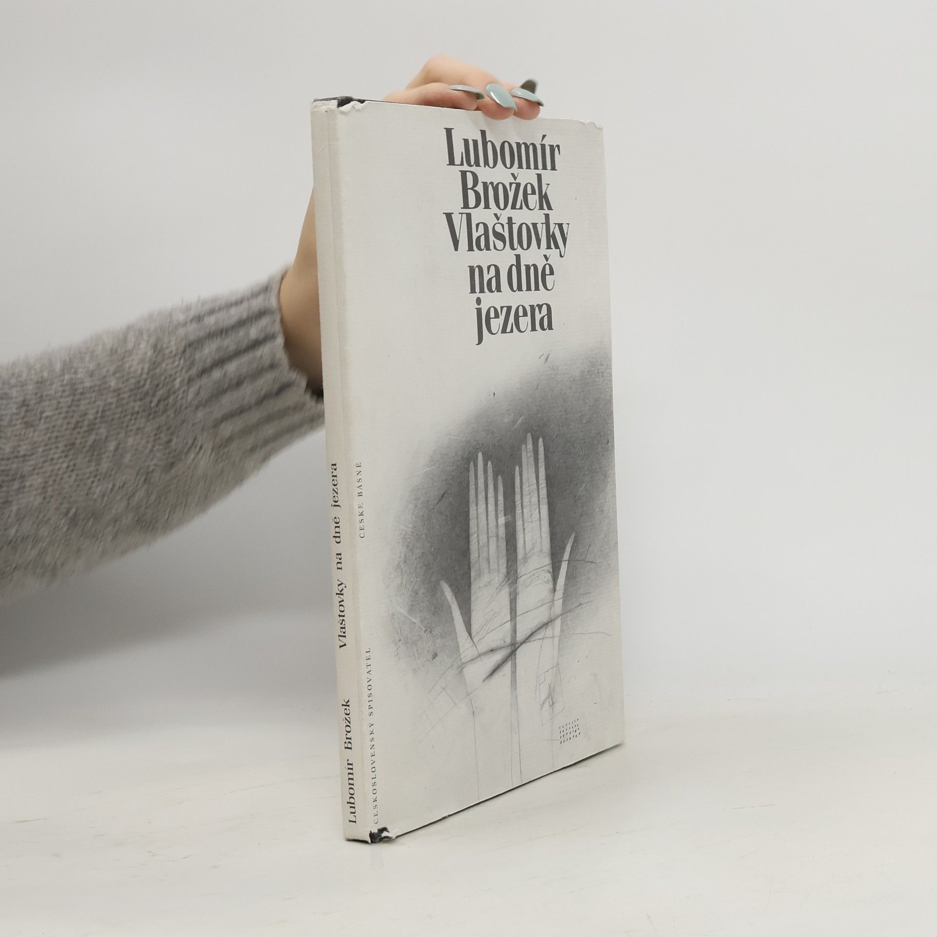 Lubomír Brožek Vlaštovky na dně jezera