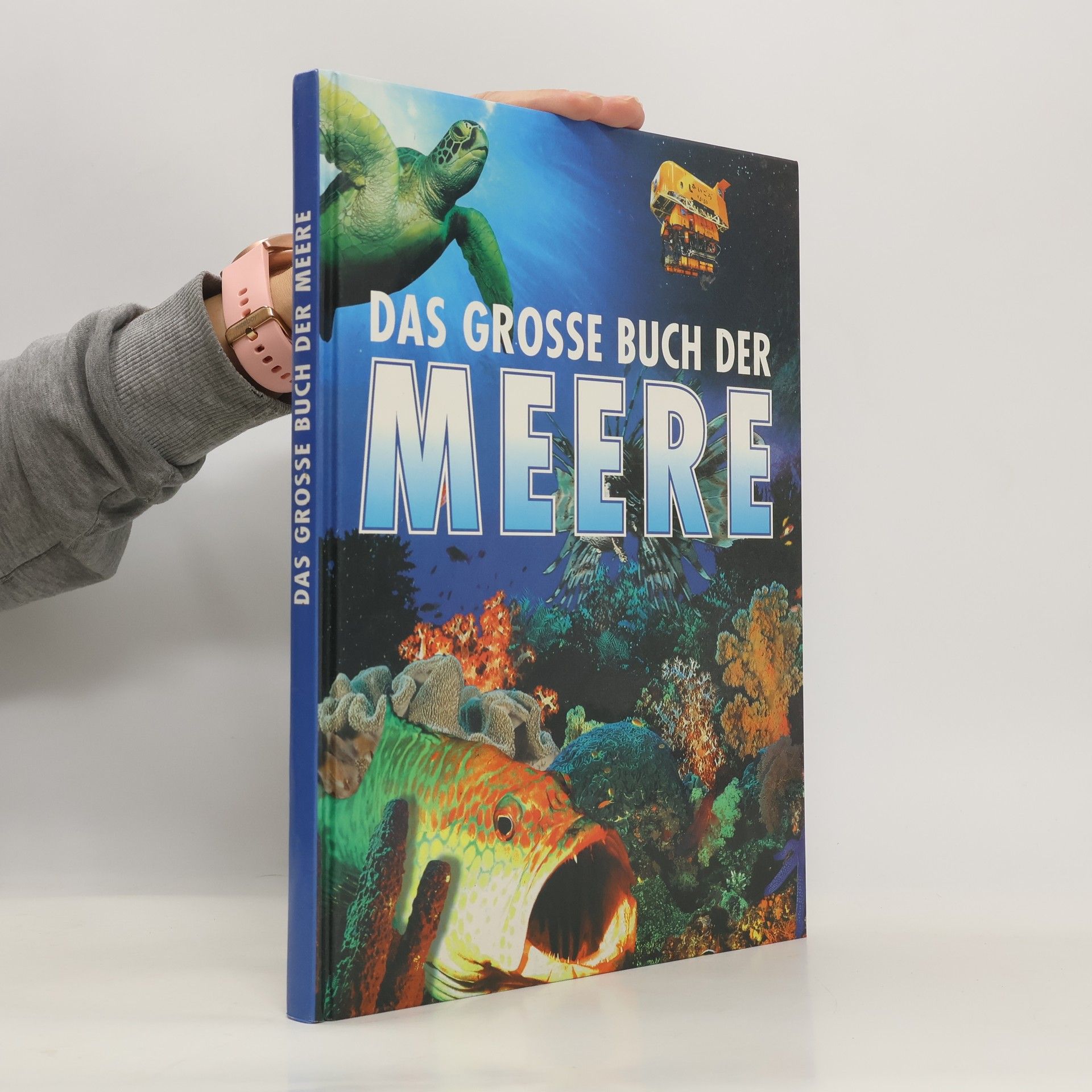 Autores varios Das grosse Buch der Meere