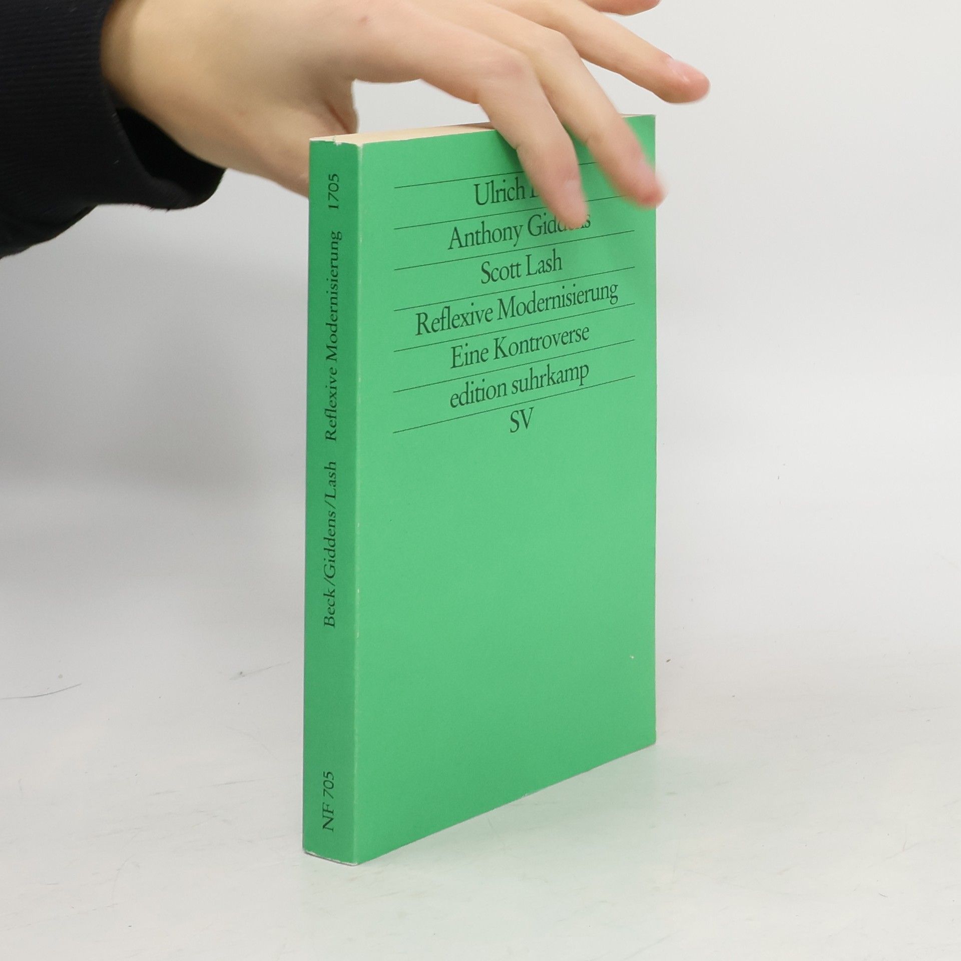 Ulrich Beck Reflexive Modernisierung