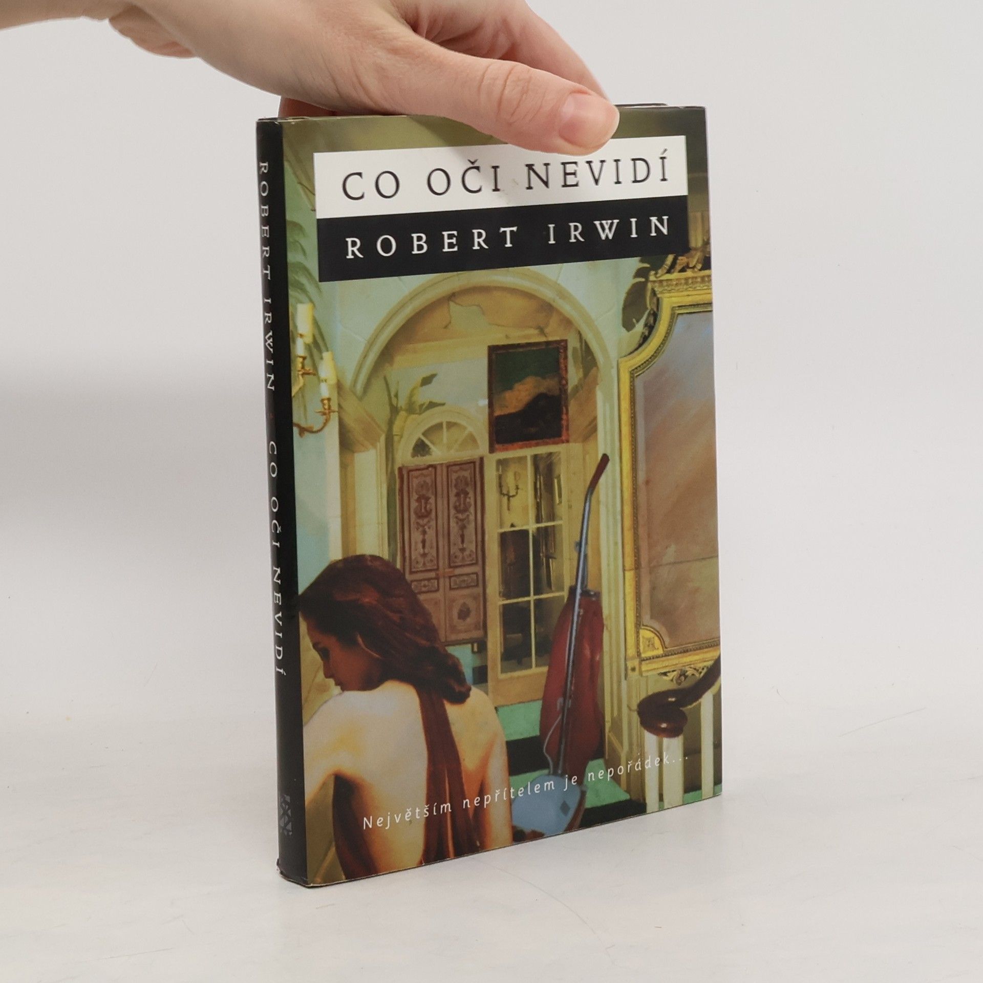 Robert Irwin Co oči nevidí