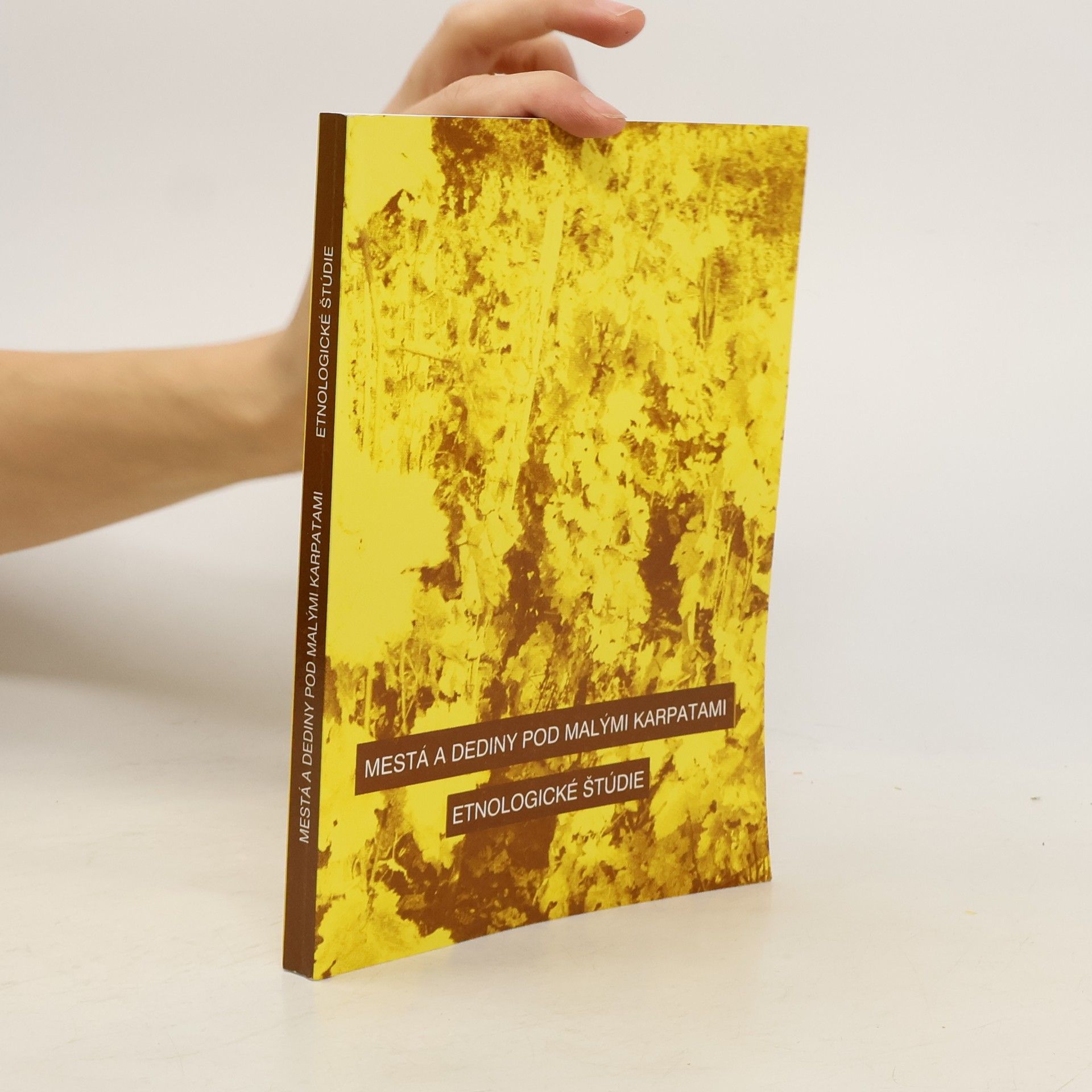 Ol̕ga Danglová Mestá a dediny pod Malými Karpatami